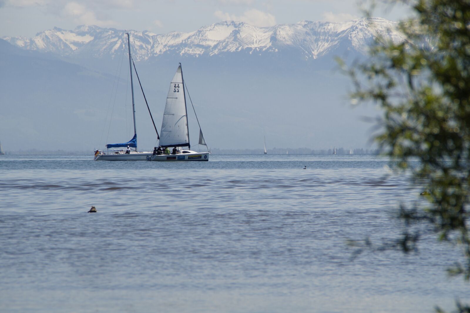 Sony SLT-A58 sample photo. Sailing ships, lake constance photography