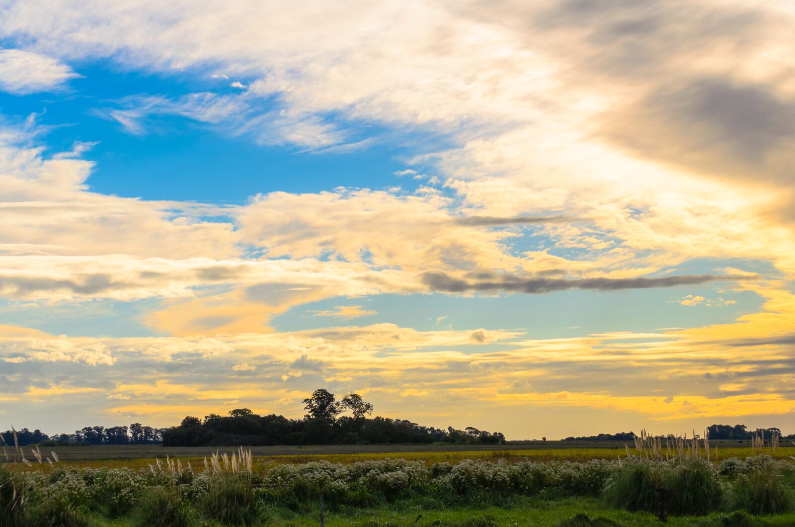 Nikon D5100 sample photo. Field, sunset, sky photography