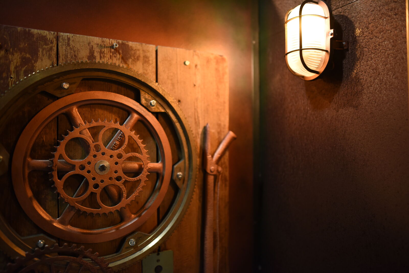 Nikon D810 sample photo. Mens toilet at steam photography