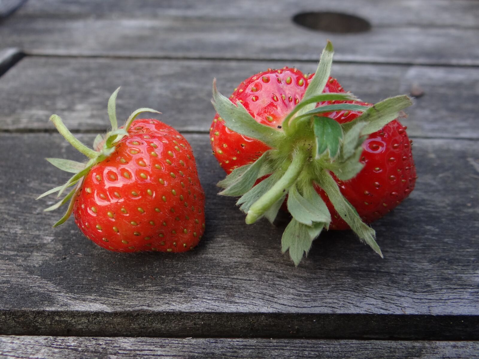 Sony Cyber-shot DSC-HX100V sample photo. Strawberry, berry, summer photography