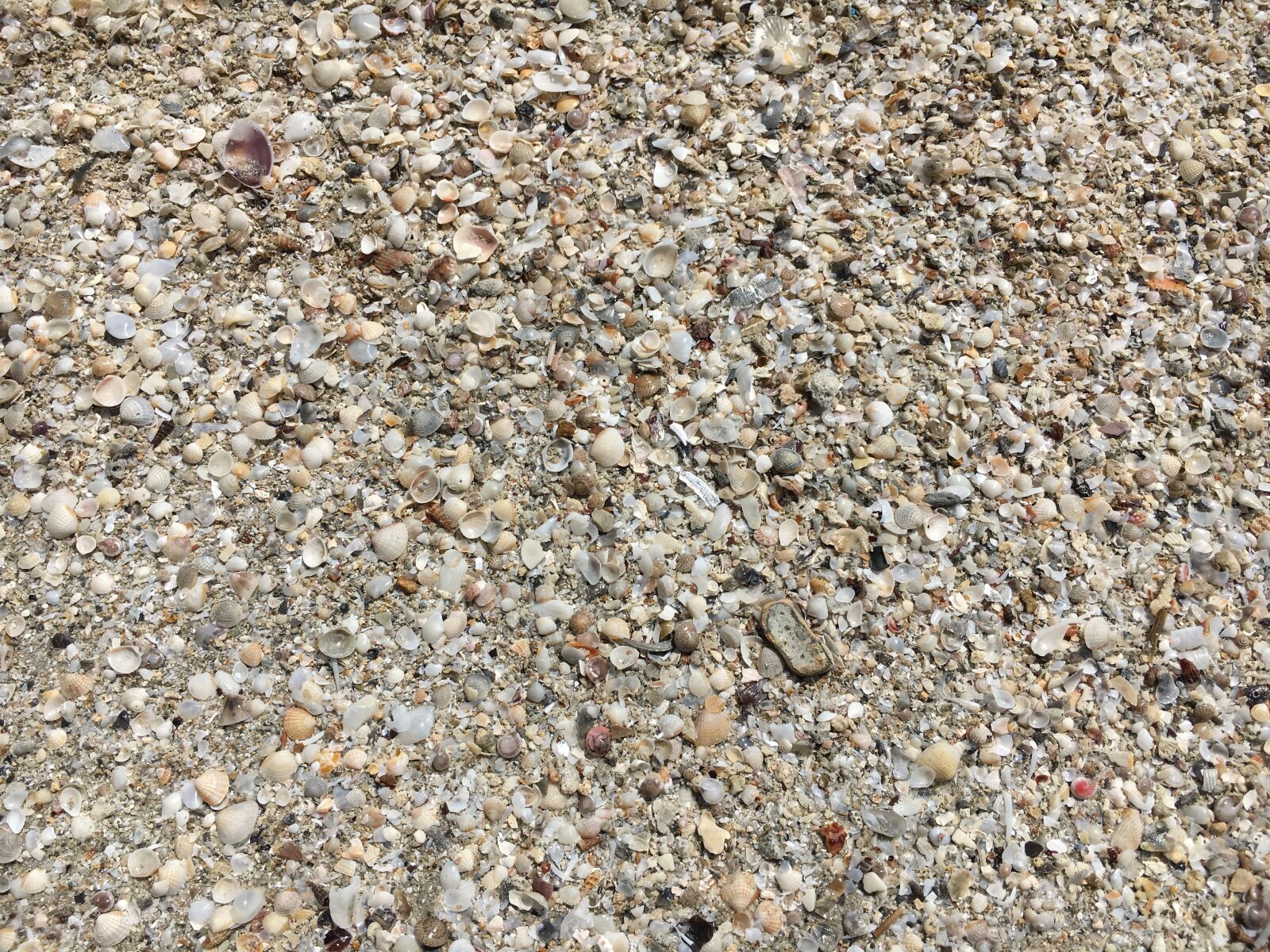Apple iPhone 6s sample photo. Asia, thailand, koh chang photography