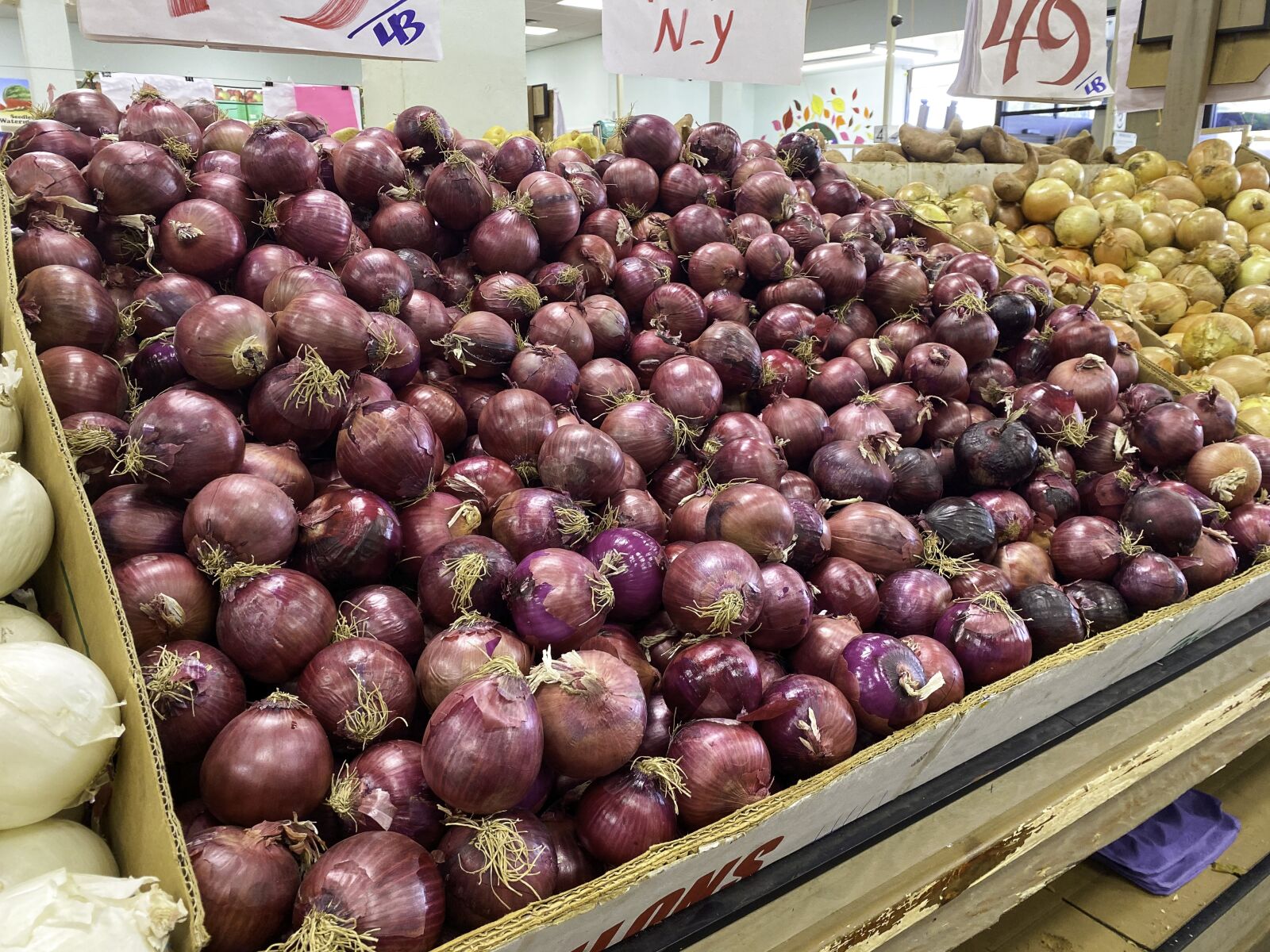 iPhone 11 Pro back triple camera 4.25mm f/1.8 sample photo. Onions, store, grocery photography