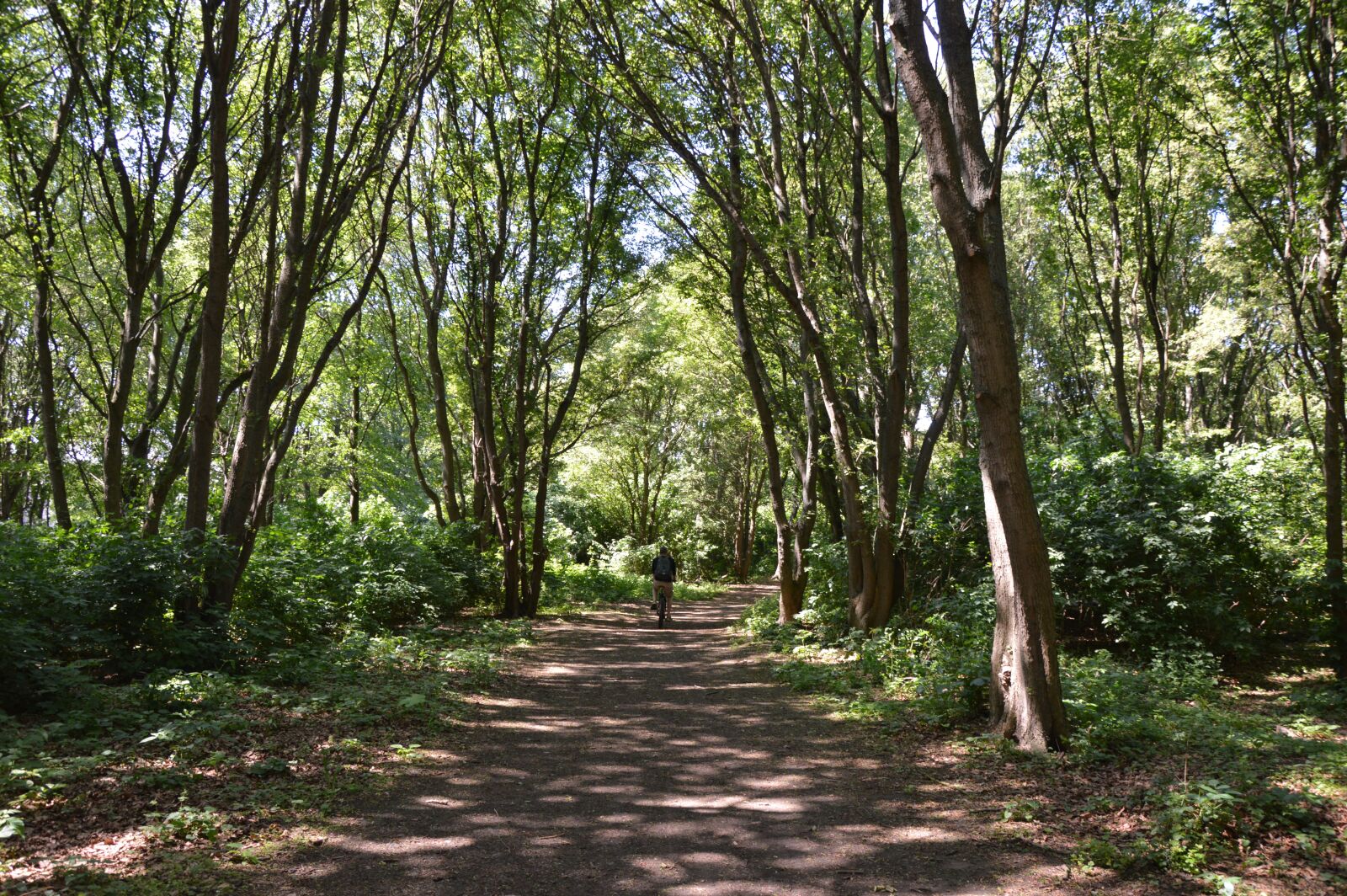 Nikon D3200 sample photo. Malmö, ribersborg, sweden photography