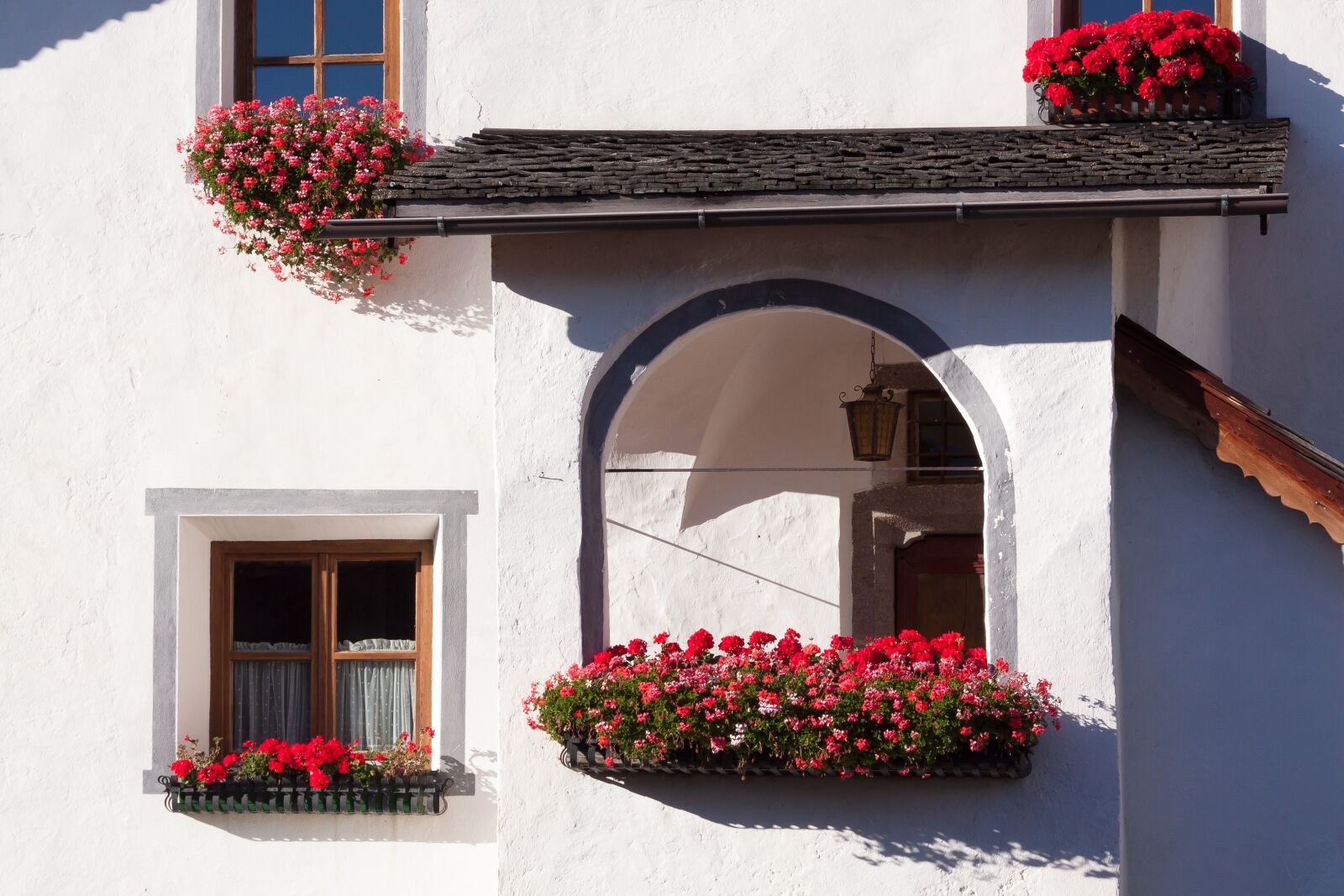 Canon EOS 50D sample photo. House, input, floral decorations photography
