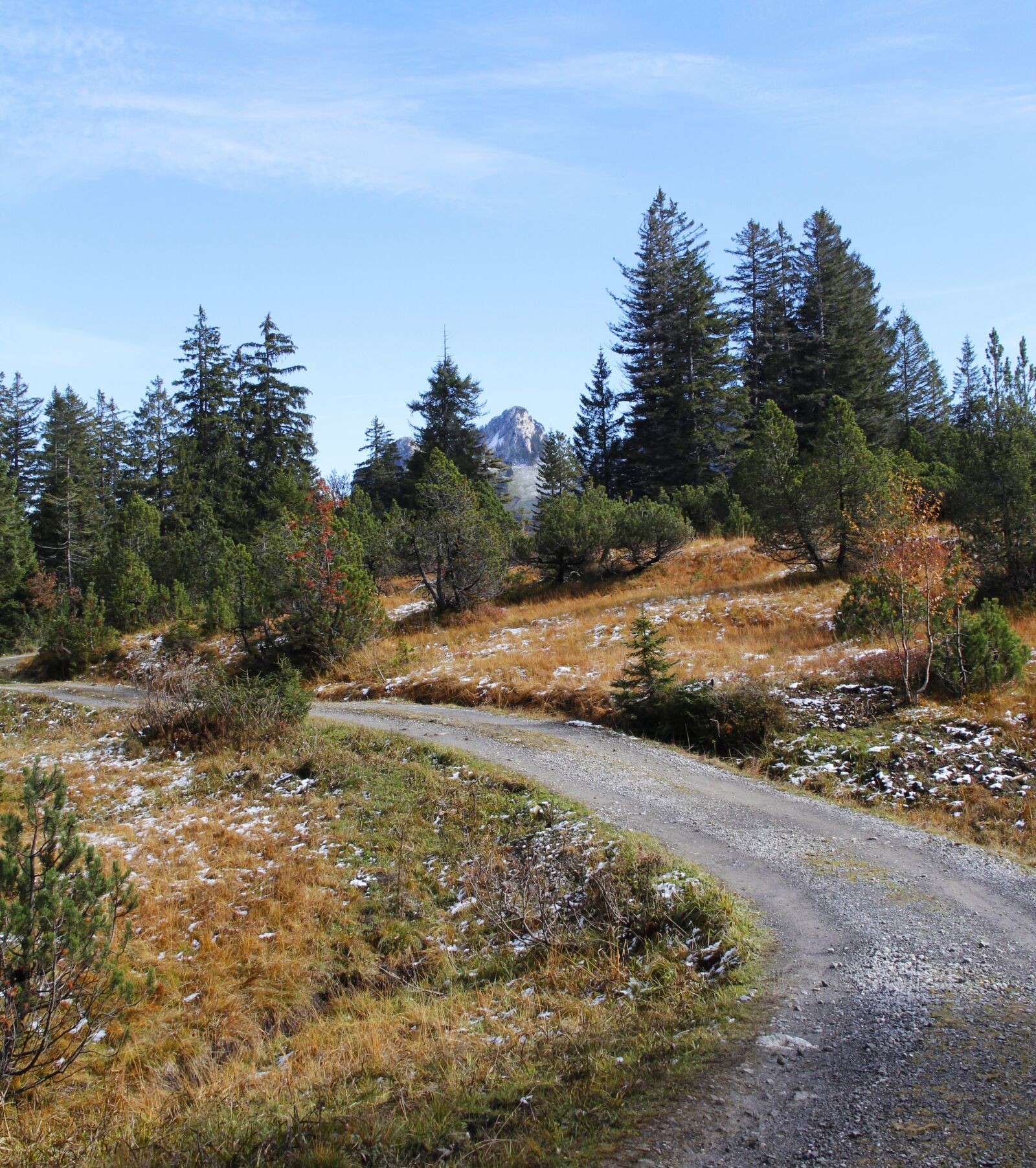 Canon EOS 600D (Rebel EOS T3i / EOS Kiss X5) sample photo. Trail, hiking, forest photography