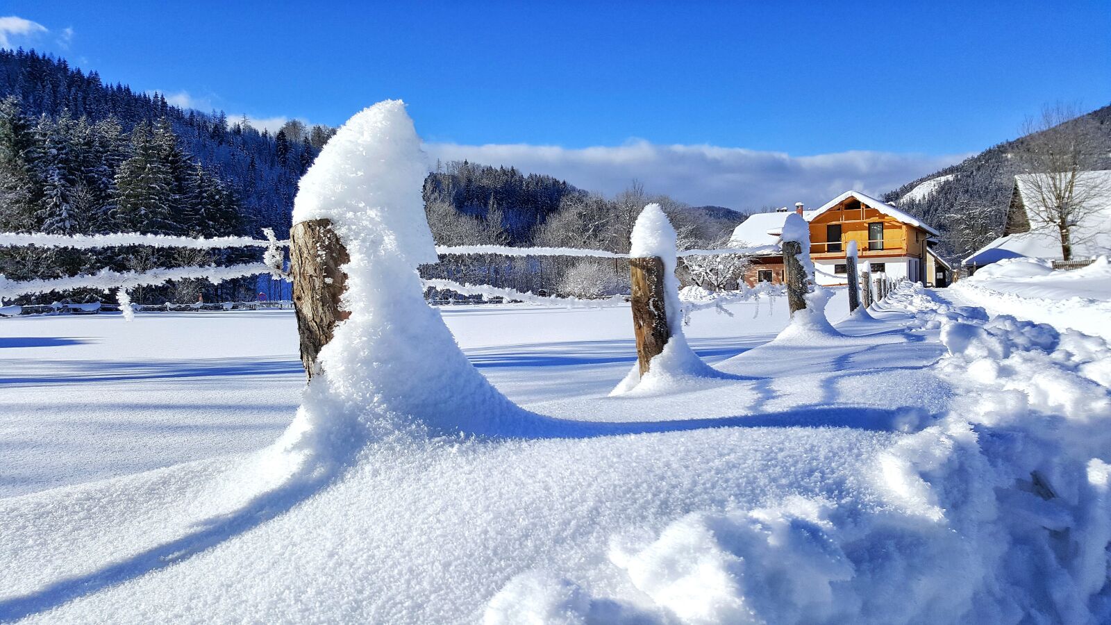 Samsung Galaxy S6 sample photo. Snow, nature, winter photography