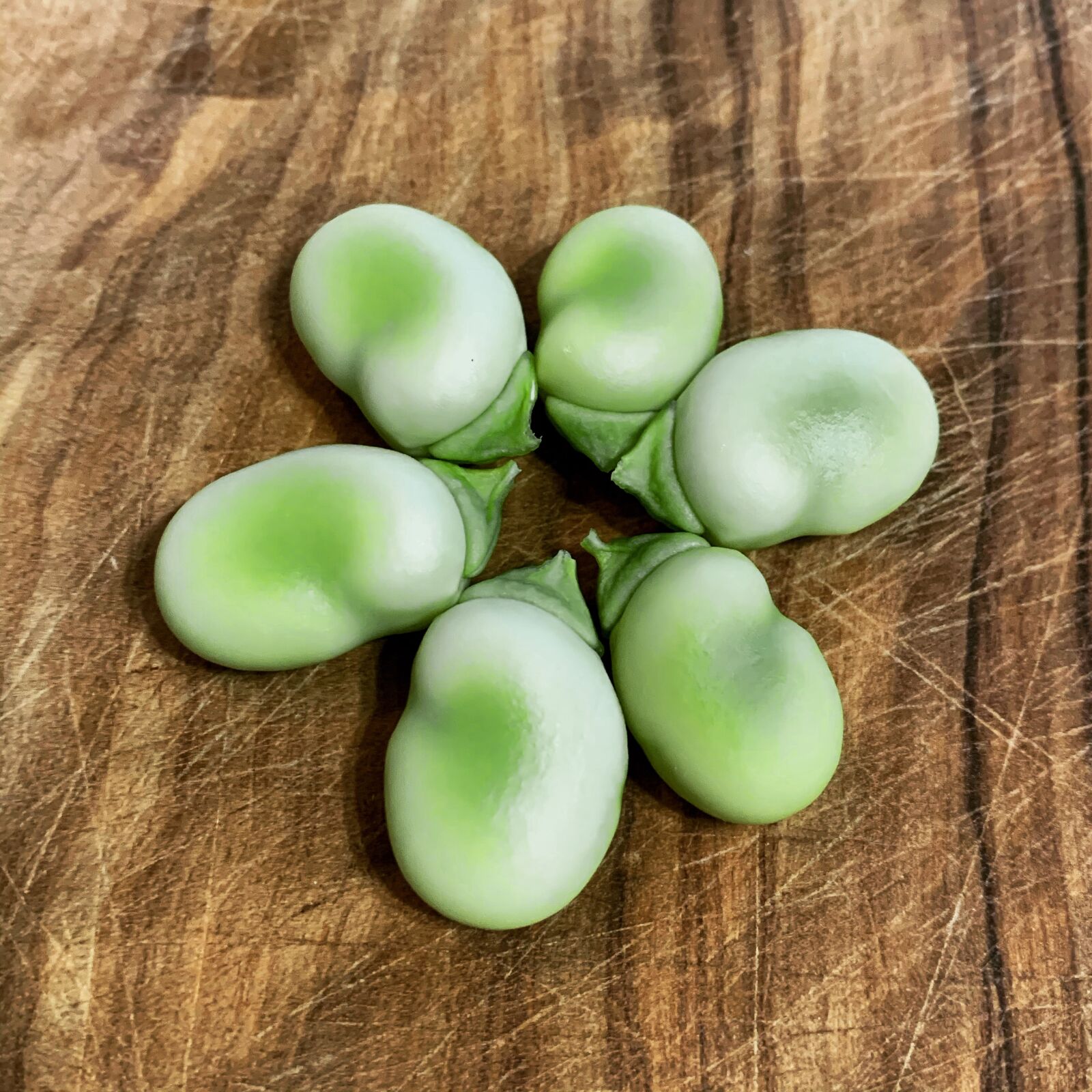 iPhone XS back dual camera 4.25mm f/1.8 sample photo. Broad beans, bean, legume photography