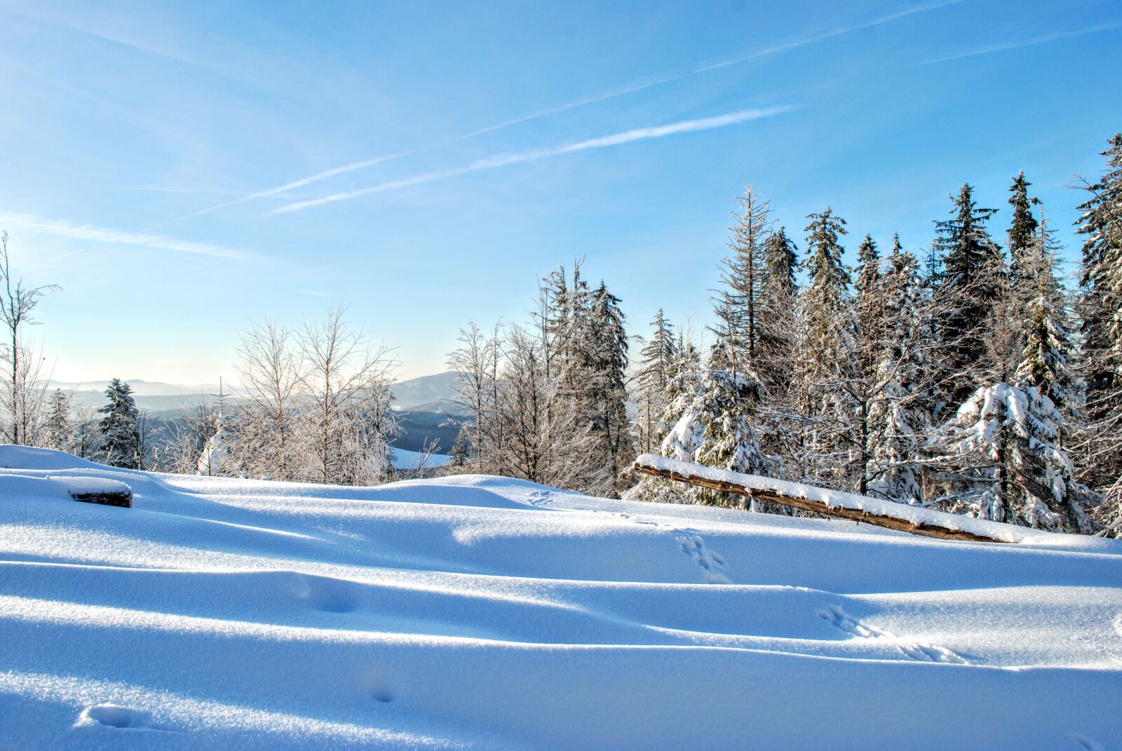 Nikon D80 sample photo. Snow, winter, cold photography