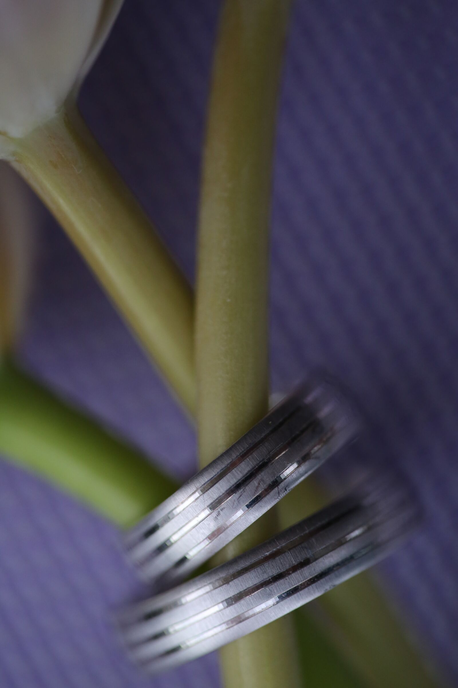 Canon EF 100mm F2.8 Macro USM sample photo. Tulips, wedding ring, platinum photography