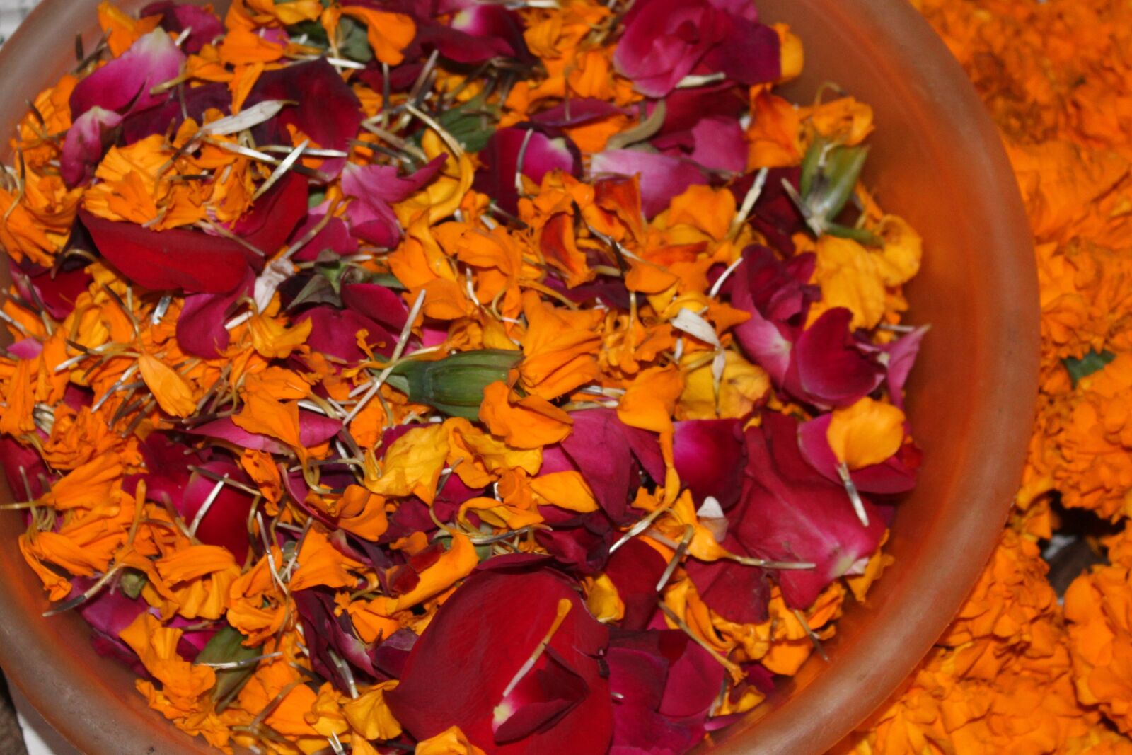 Canon EOS 1200D (EOS Rebel T5 / EOS Kiss X70 / EOS Hi) sample photo. Genda, flower, hindu, worship photography