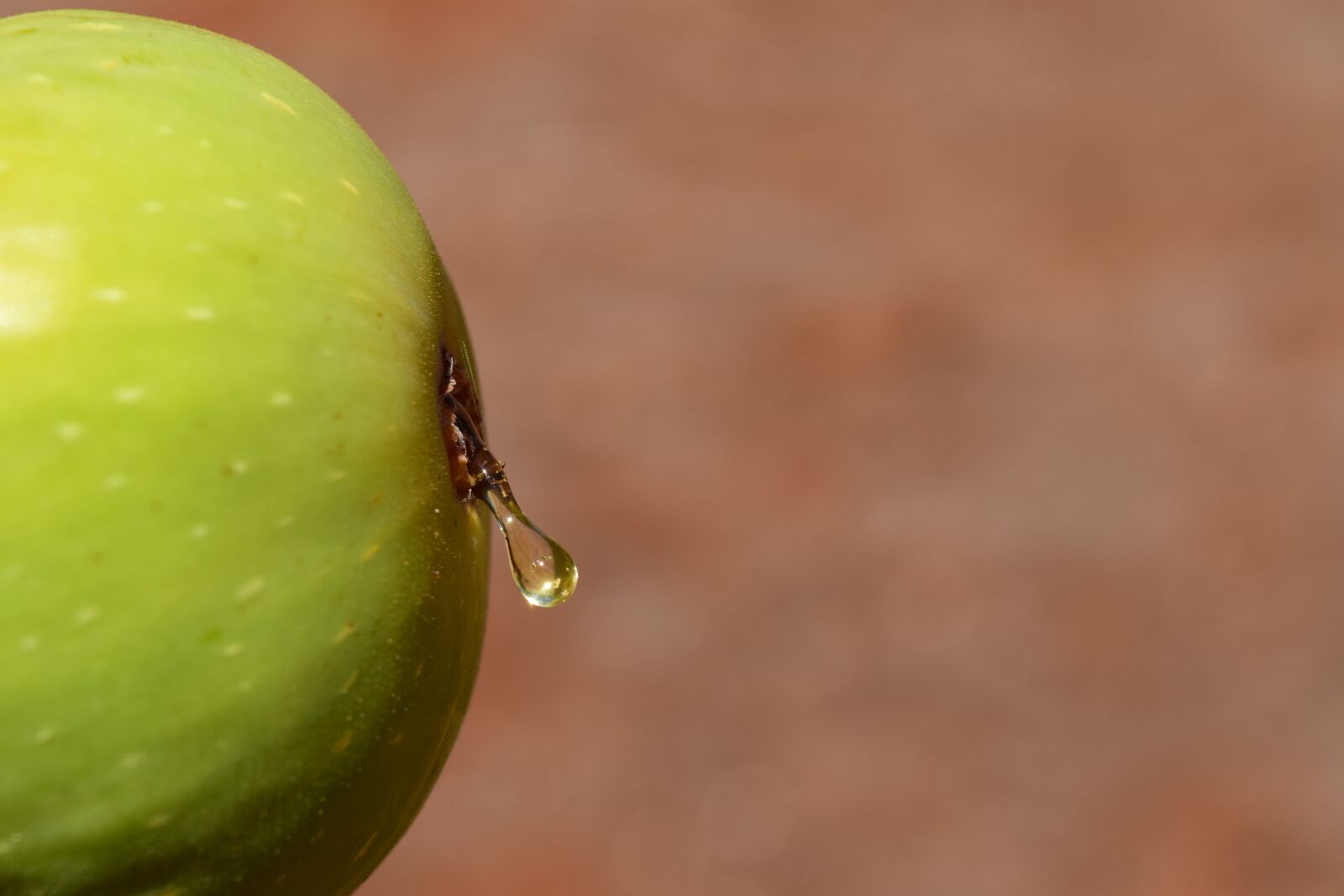Nikon D3300 sample photo. Fig, close up, fruit photography