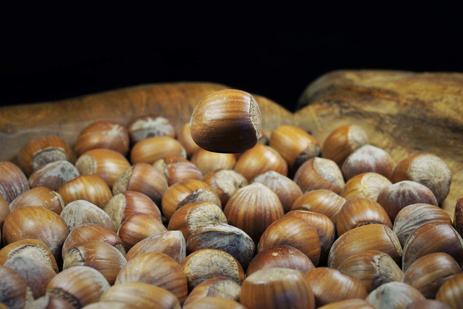 Sony E 16-50mm F3.5-5.6 PZ OSS sample photo. Hazelnut, shell, brown photography
