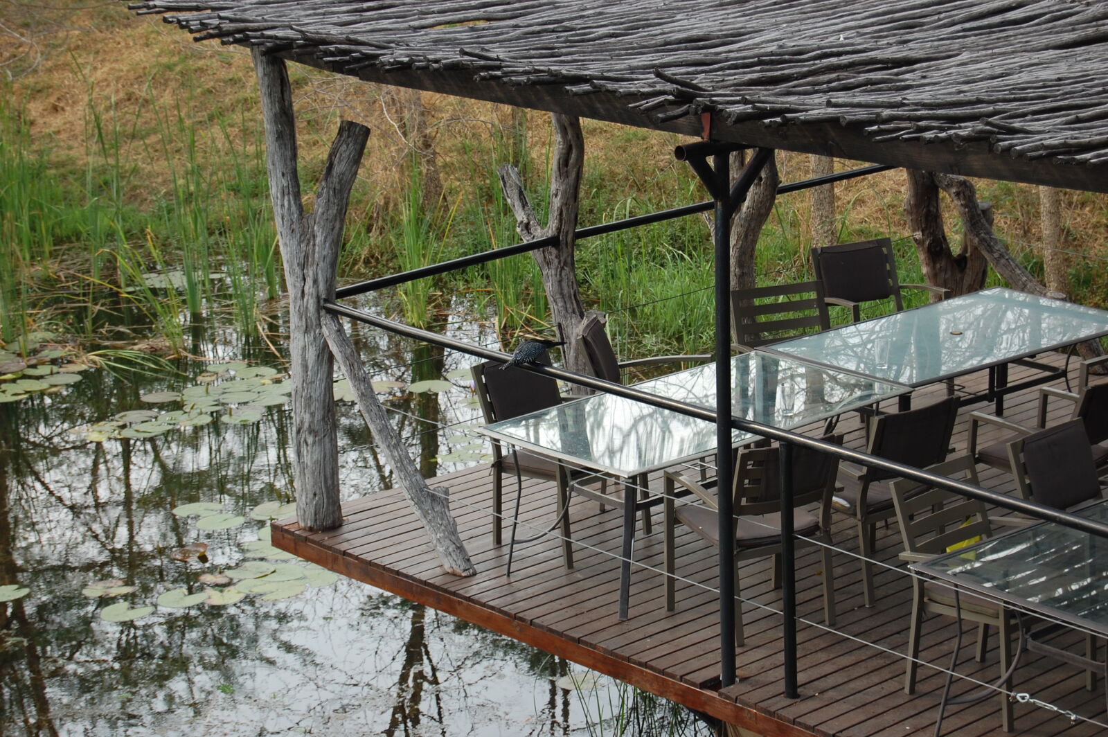 Nikon D40 sample photo. Deck, water photography