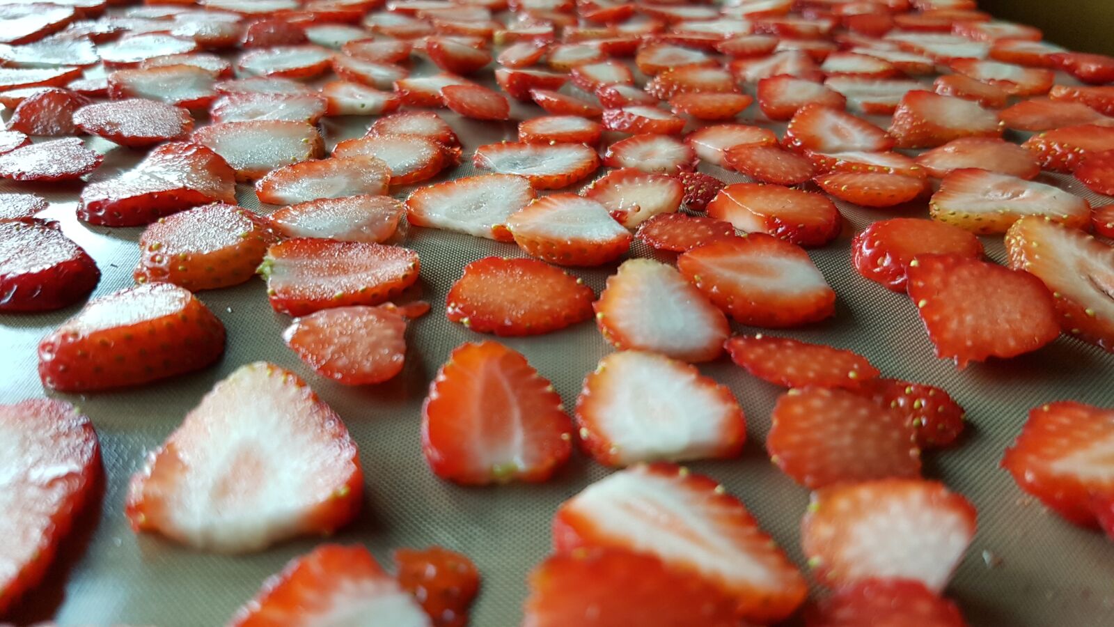Samsung Galaxy S7 sample photo. Strawberries, discs, dried photography