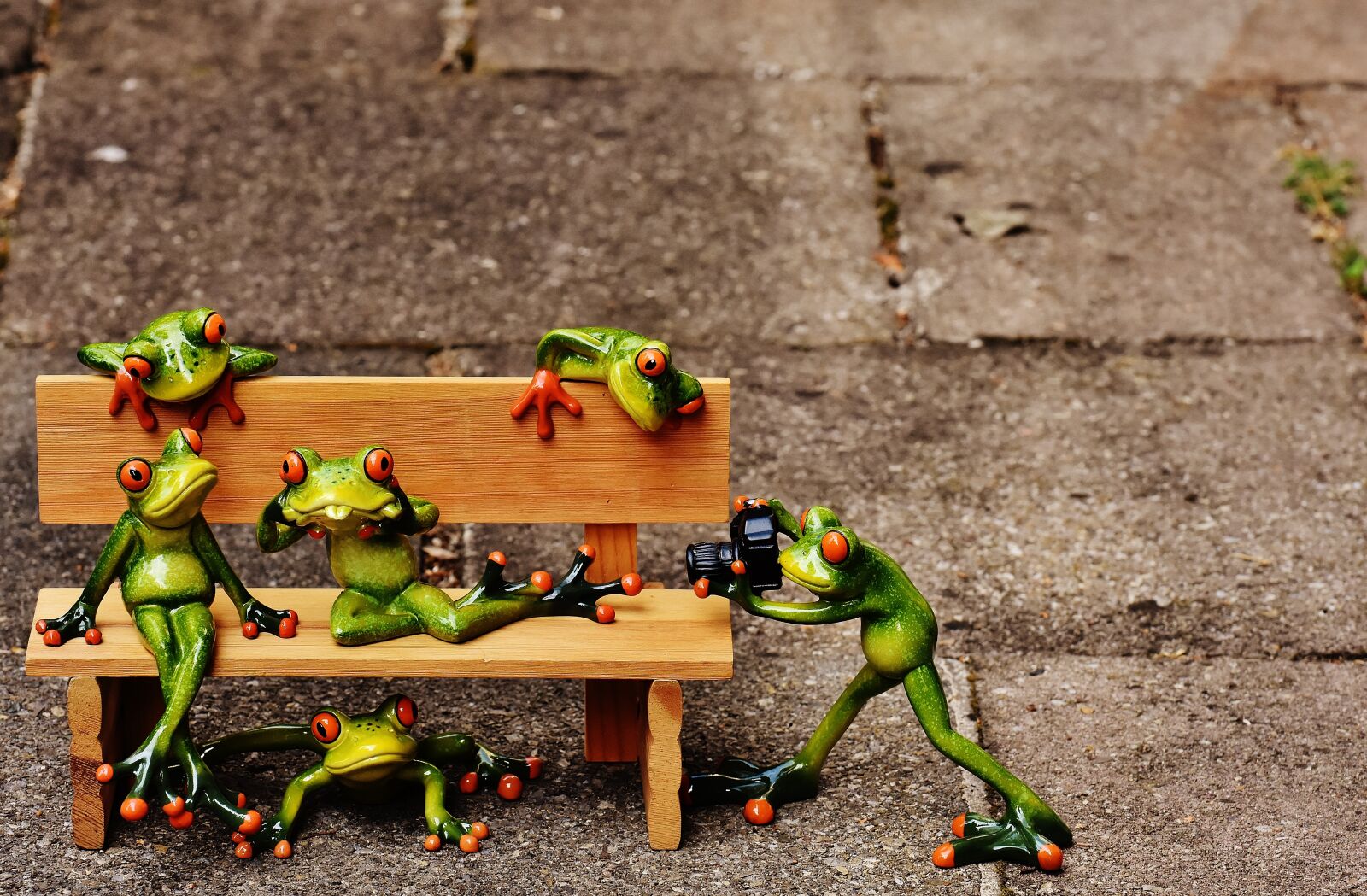 Nikon D7200 sample photo. Frogs, sociable, bank photography