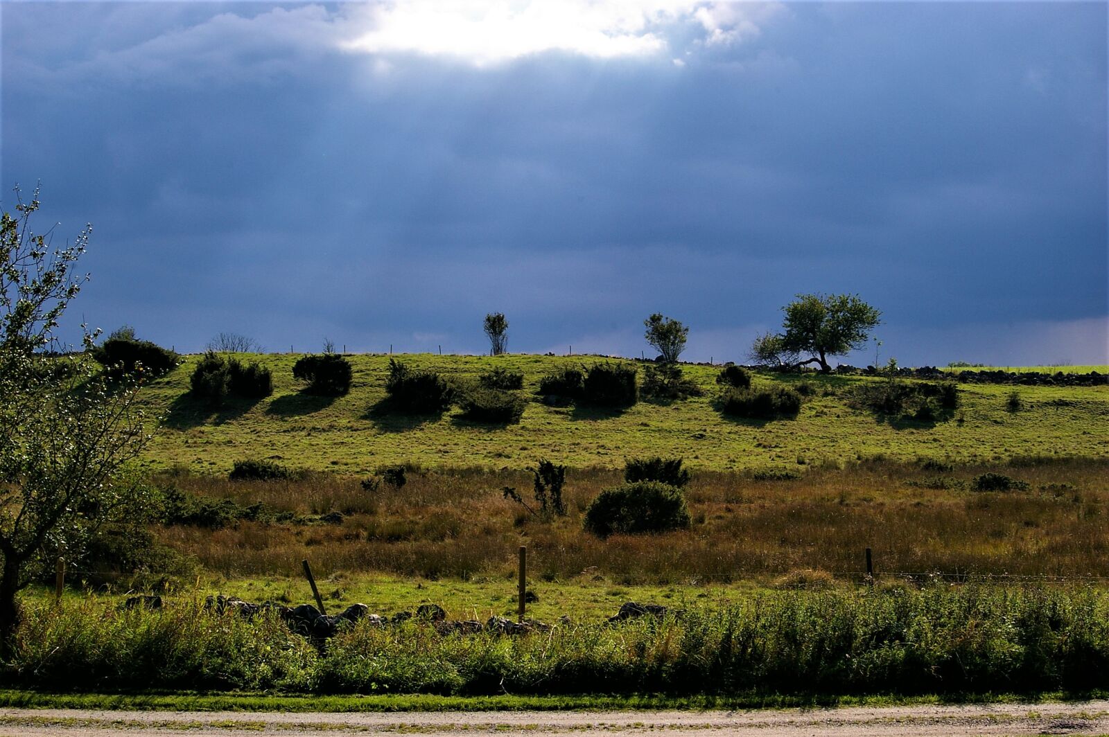 Pentax *ist DL sample photo. Nature, himmel, light photography