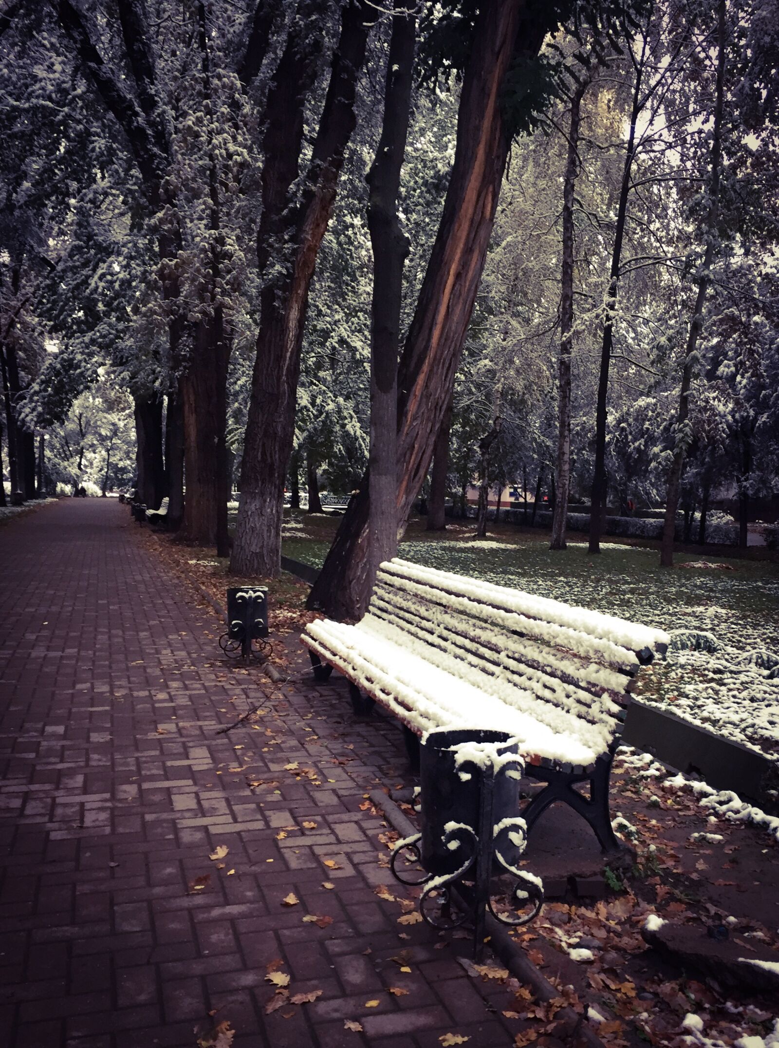 iPhone 6 back camera 4.15mm f/2.2 sample photo. Kirguistán, banco, bench photography