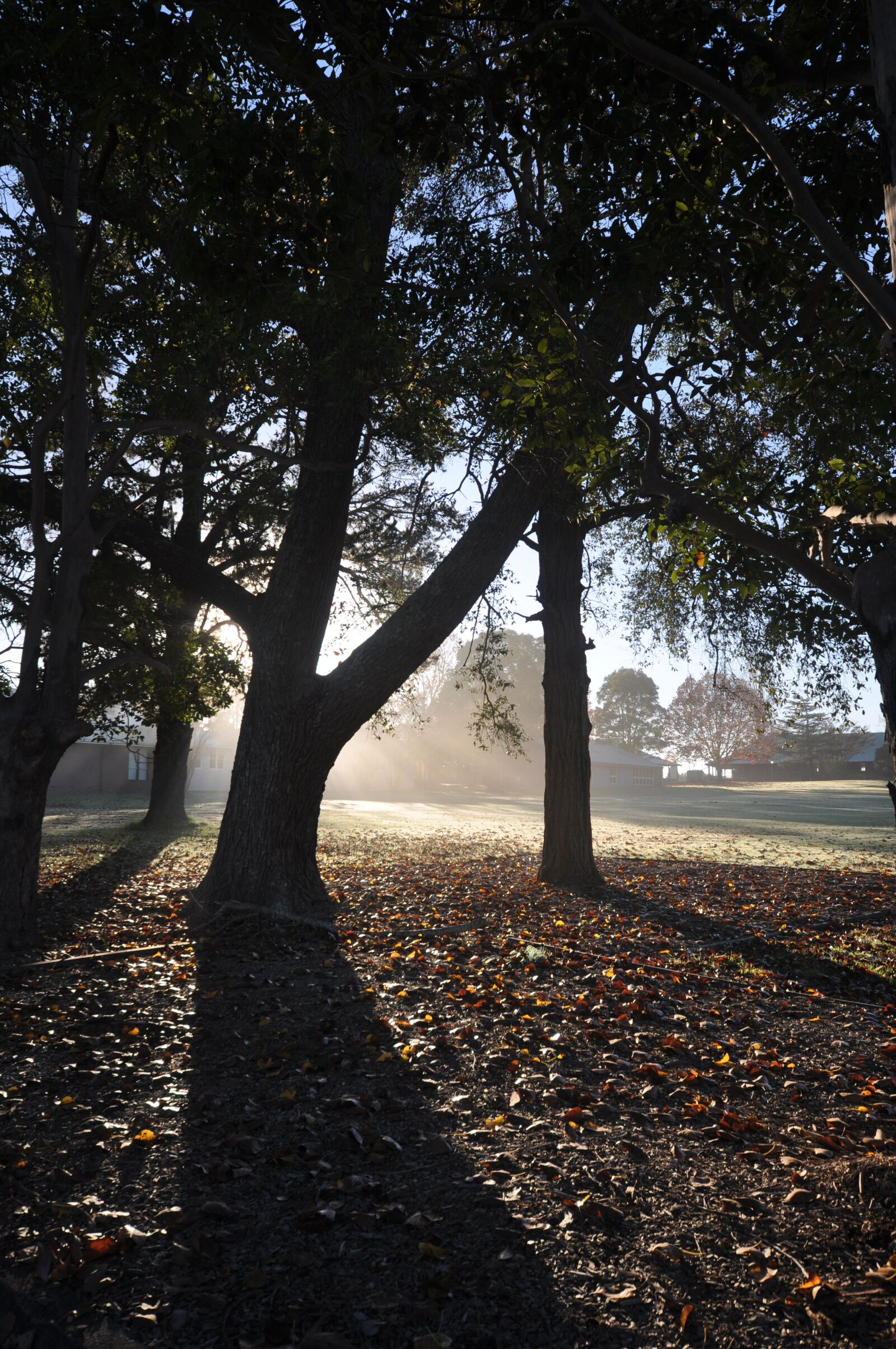 Nikon D90 sample photo. Nature, landscape, environment photography