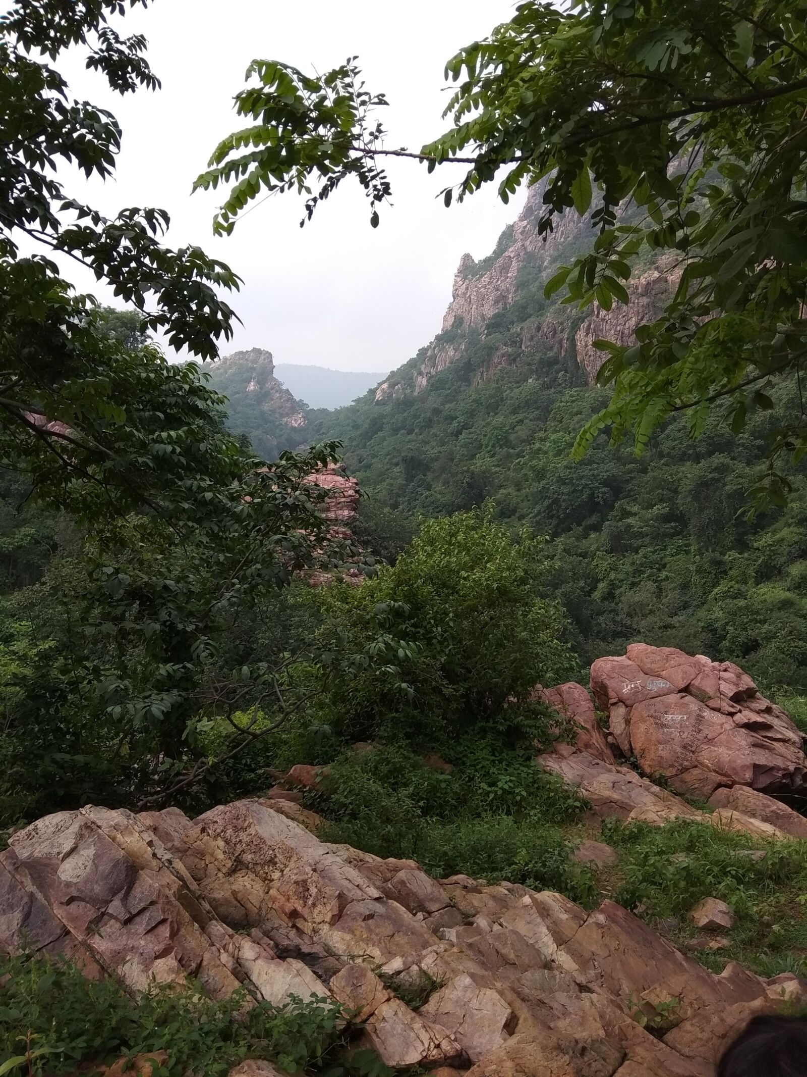 Xiaomi Redmi Note 5A sample photo. Trees, mountain, sky photography