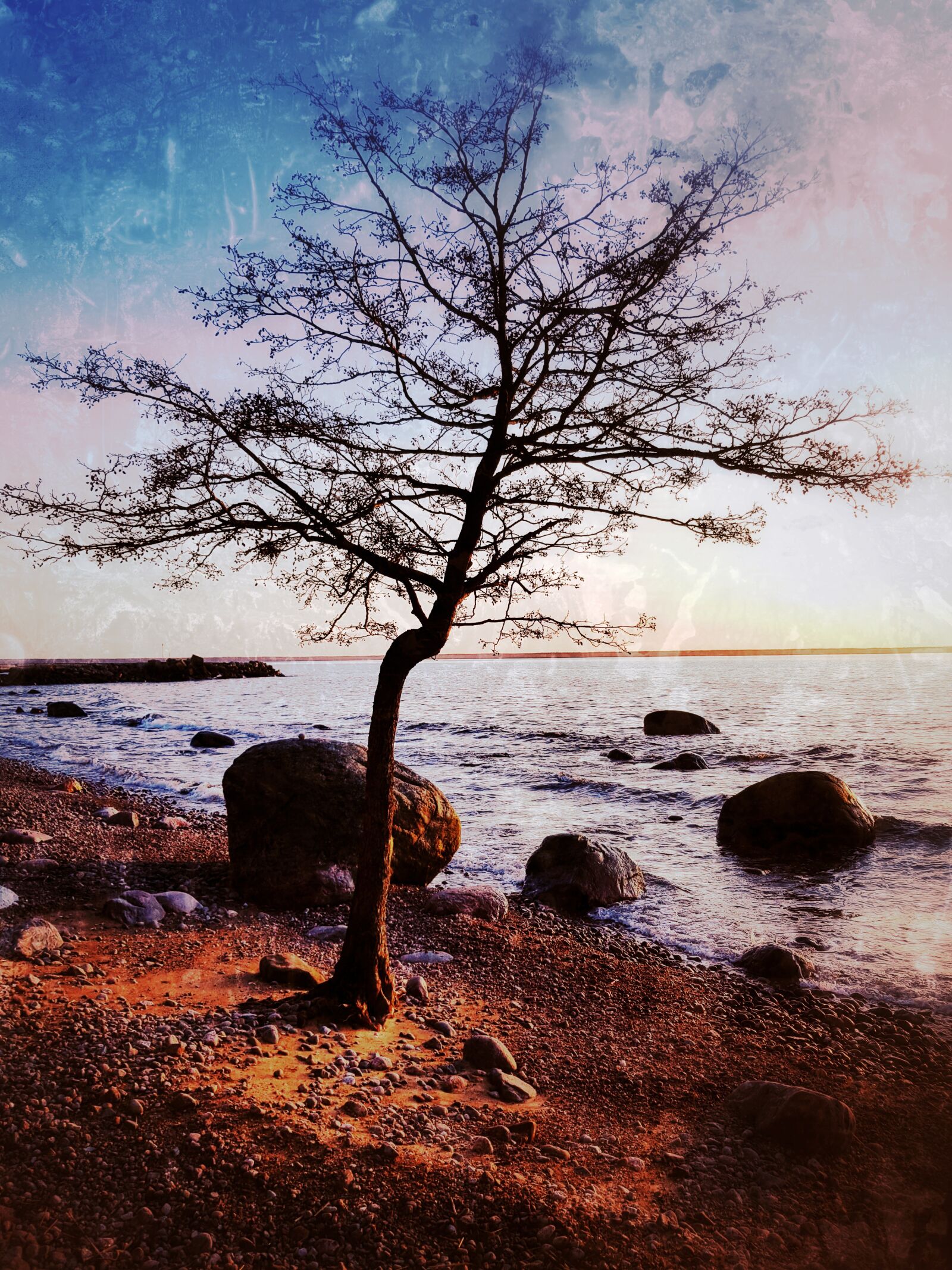 Samsung Galaxy S8 sample photo. Tree, dreaming, dream photography