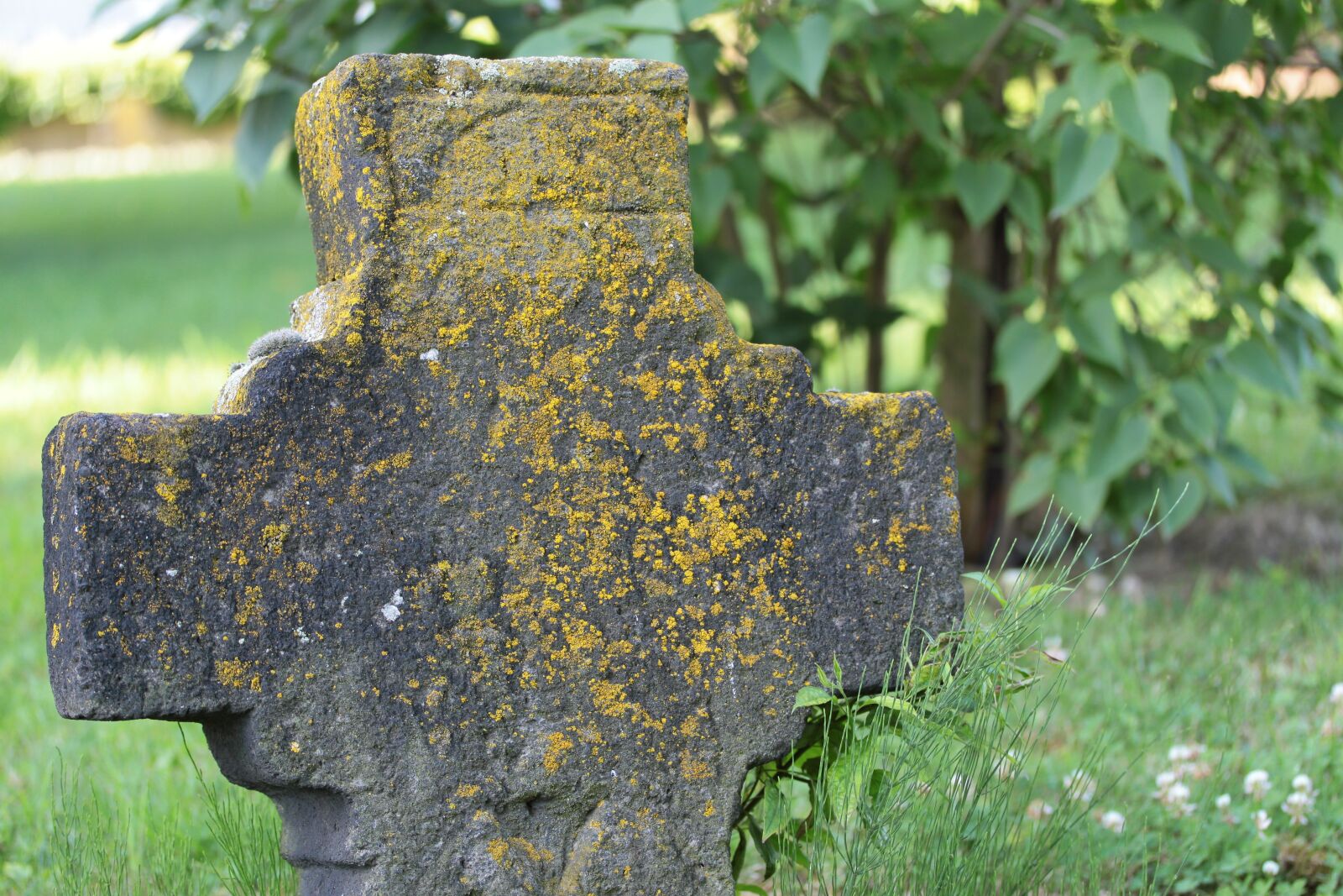 Canon EOS 500D (EOS Rebel T1i / EOS Kiss X3) sample photo. Old cemetery, leimersdorf, st photography