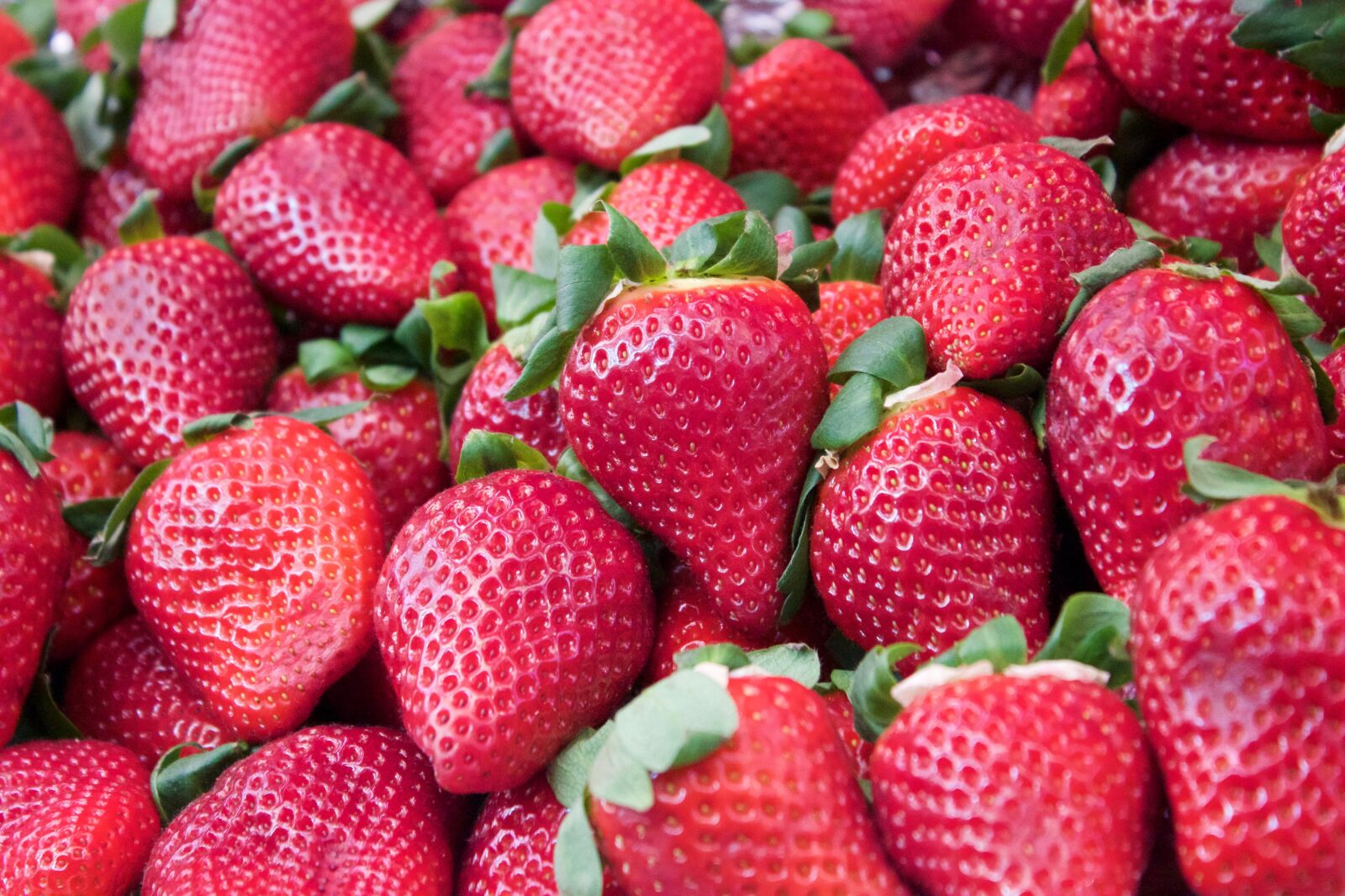 Canon EOS 600D (Rebel EOS T3i / EOS Kiss X5) sample photo. Strawberries, fruit, healthy photography
