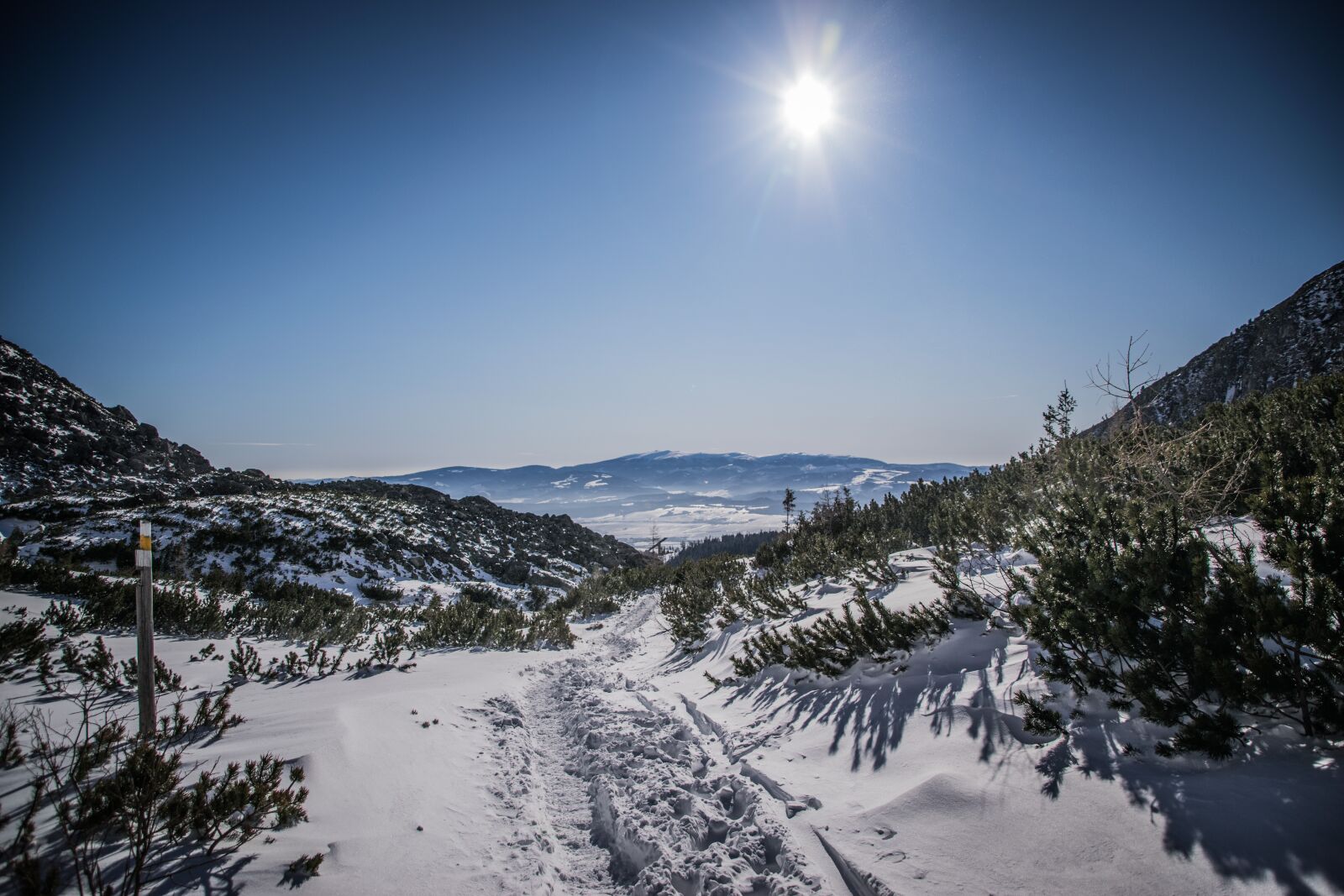 Nikon D5300 sample photo. Winter, snow, frost photography
