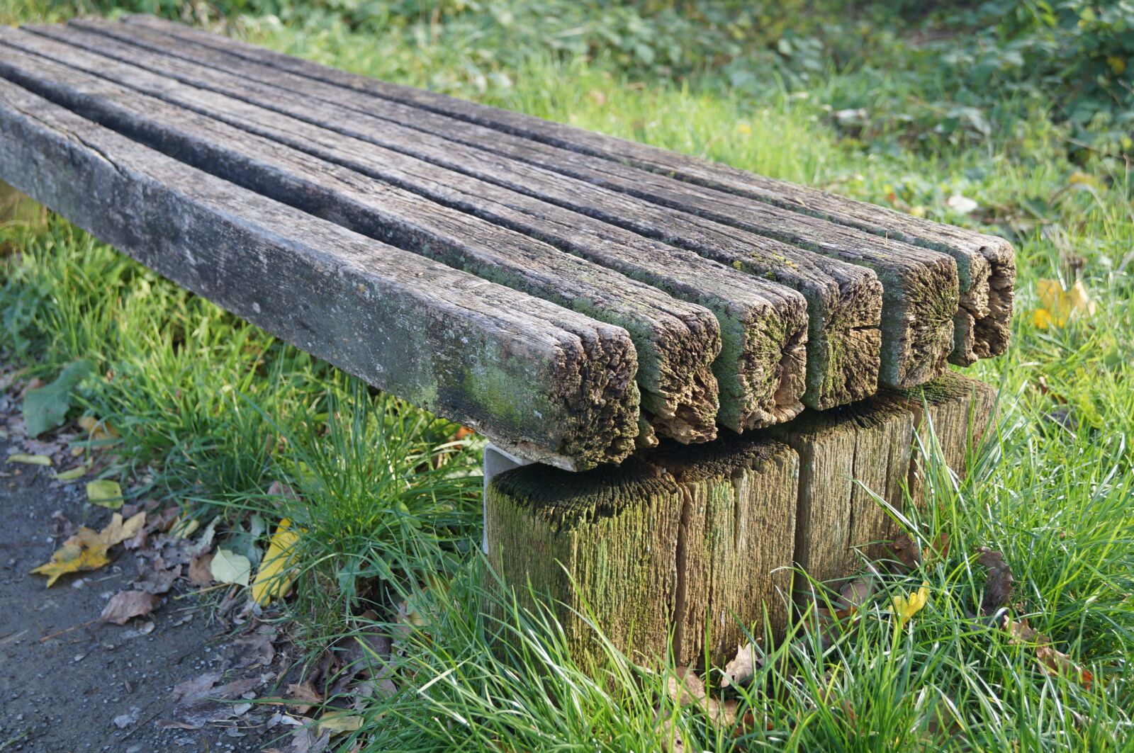Sony SLT-A37 sample photo. Bank, nature, decay photography