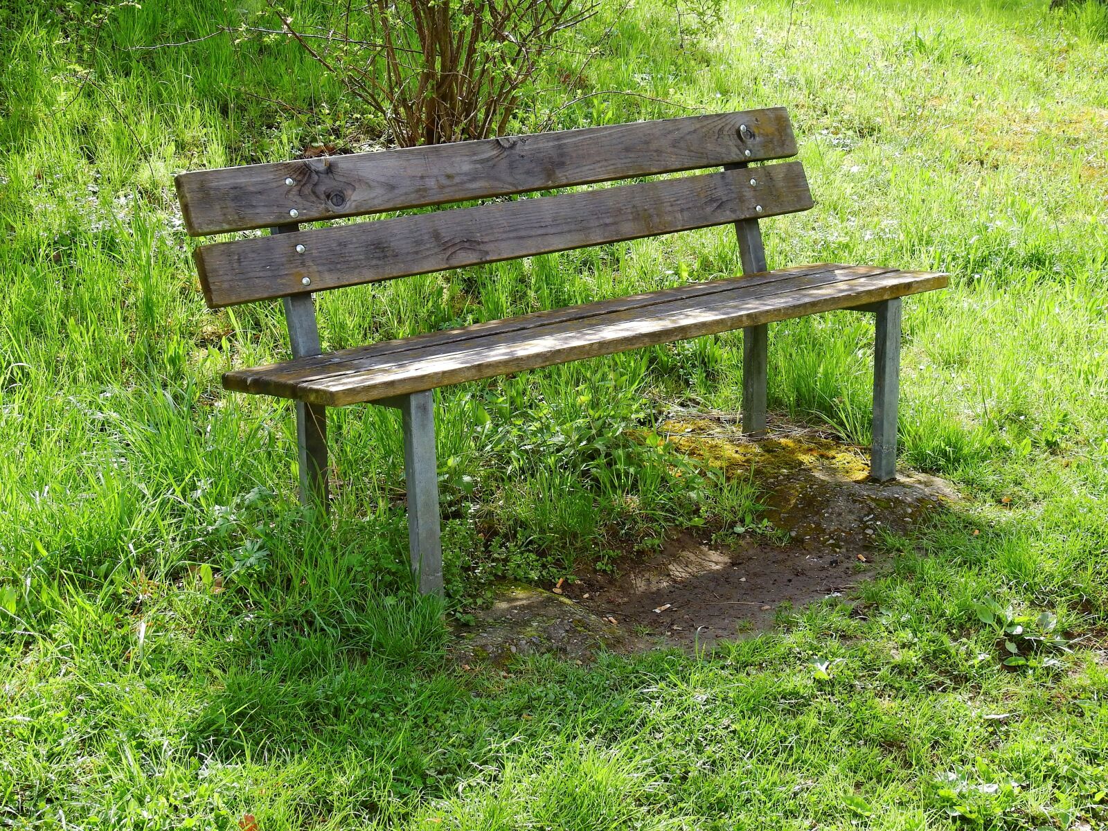Nikon Coolpix P900 sample photo. Bank, wooden bench, bench photography