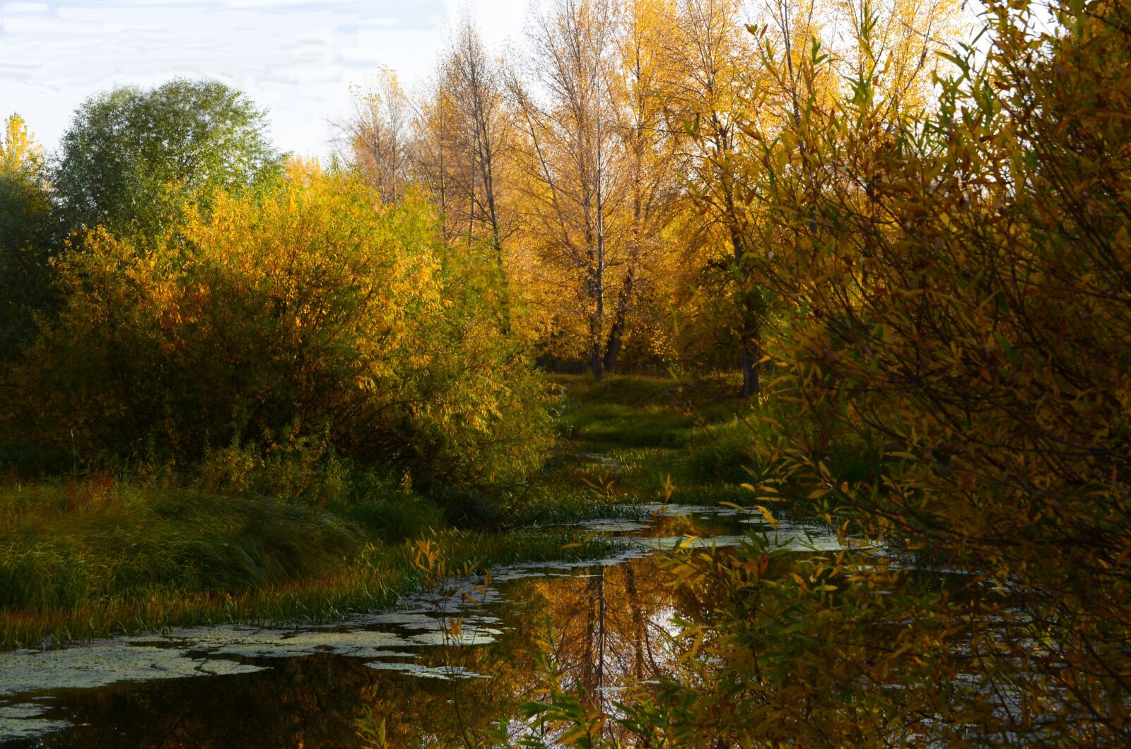Nikon D5100 sample photo. Landscape, autumn, light photography