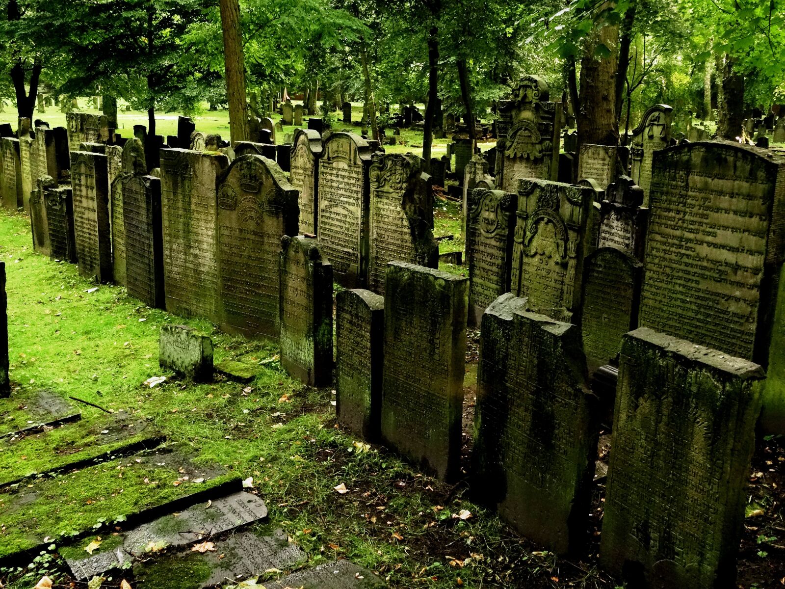 Sony Cyber-shot DSC-HX50V sample photo. Cemetery, jewish, jewish cemetery photography