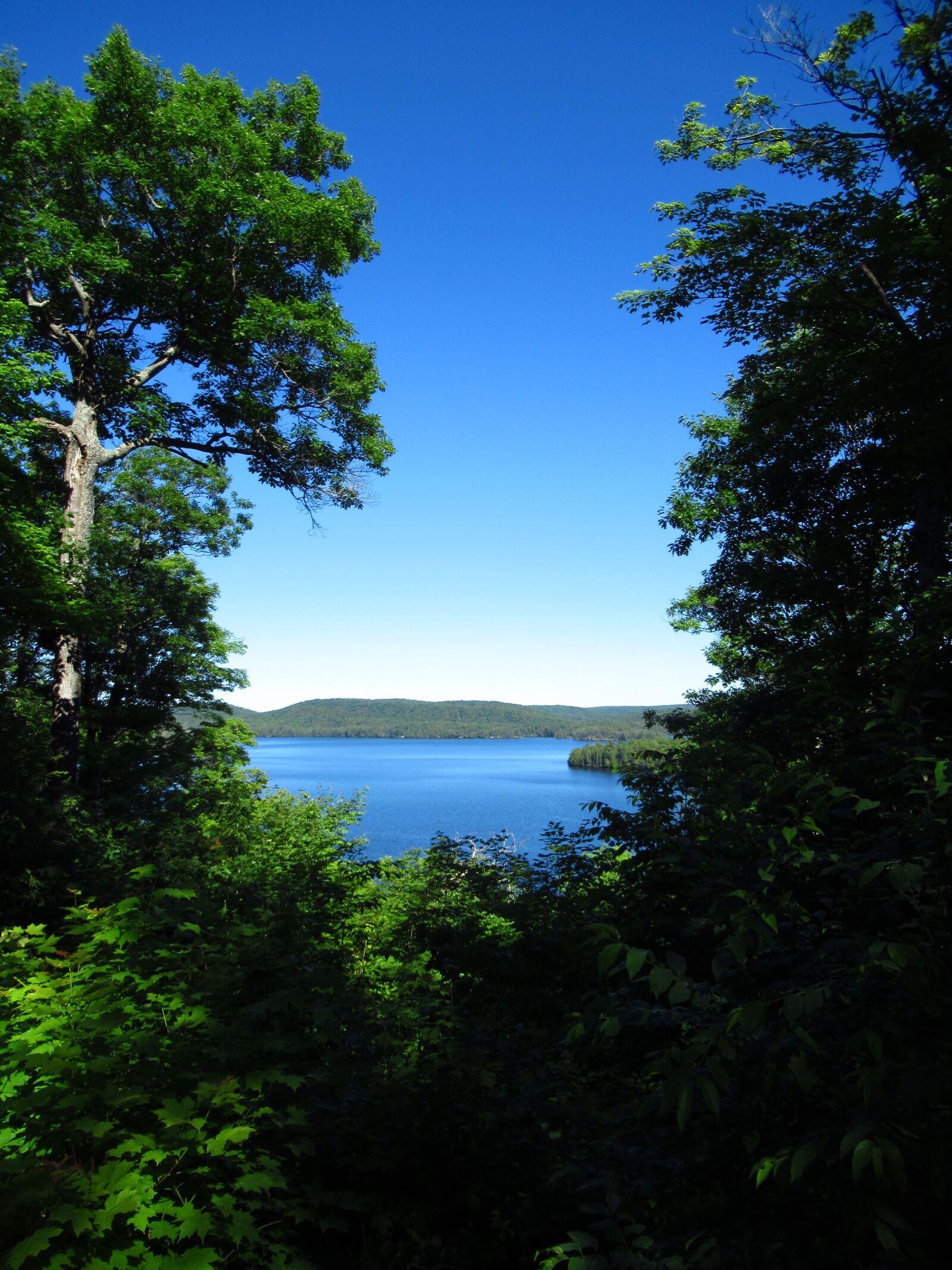 Canon PowerShot SX620 HS sample photo. Forest, lake, water photography