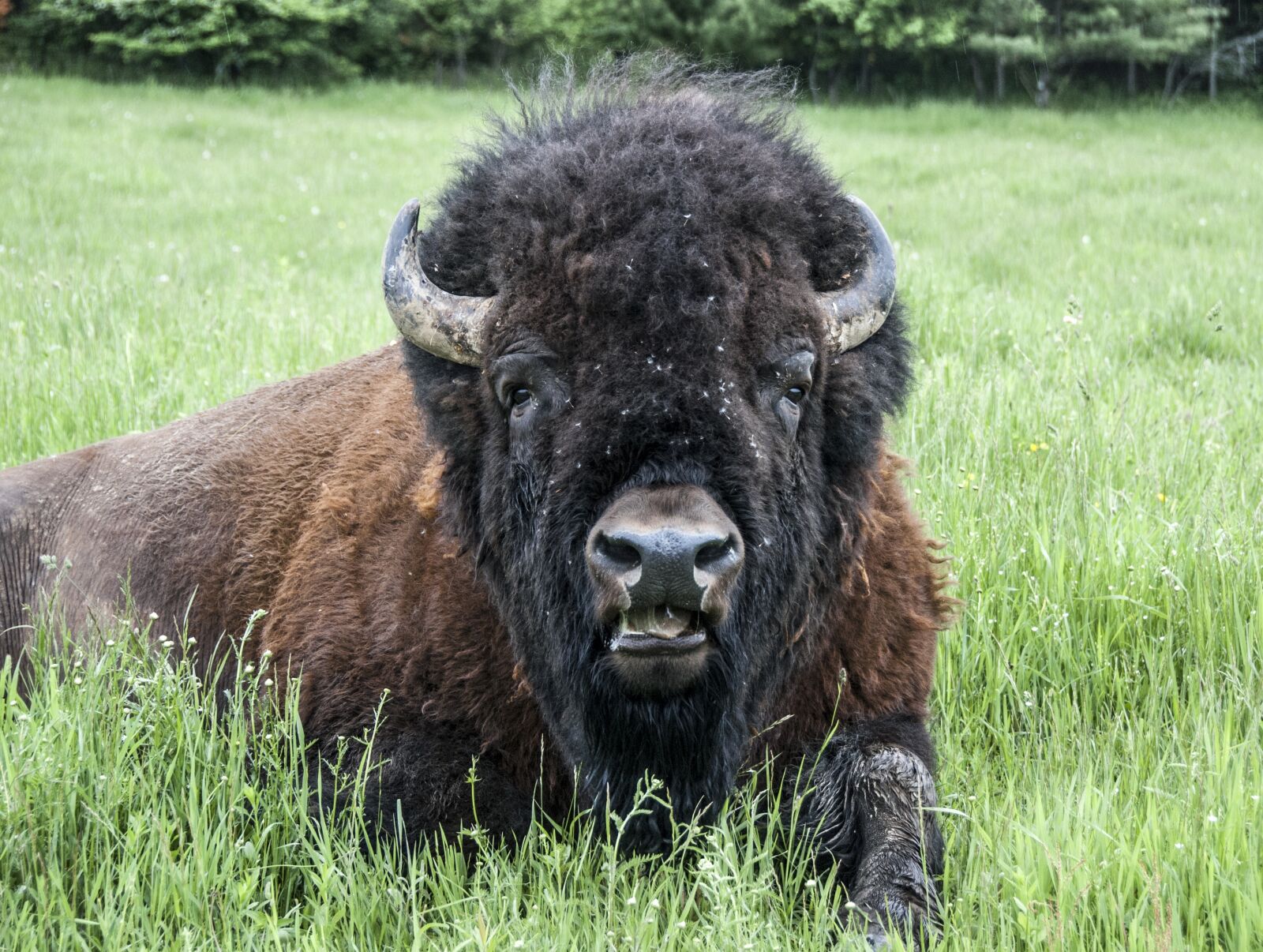Nikon D80 sample photo. Canada, omega park, travel photography