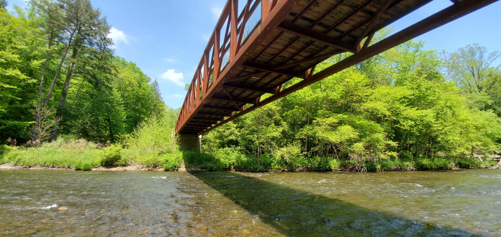 Samsung Galaxy S10 sample photo. Bridge, creek, trees photography