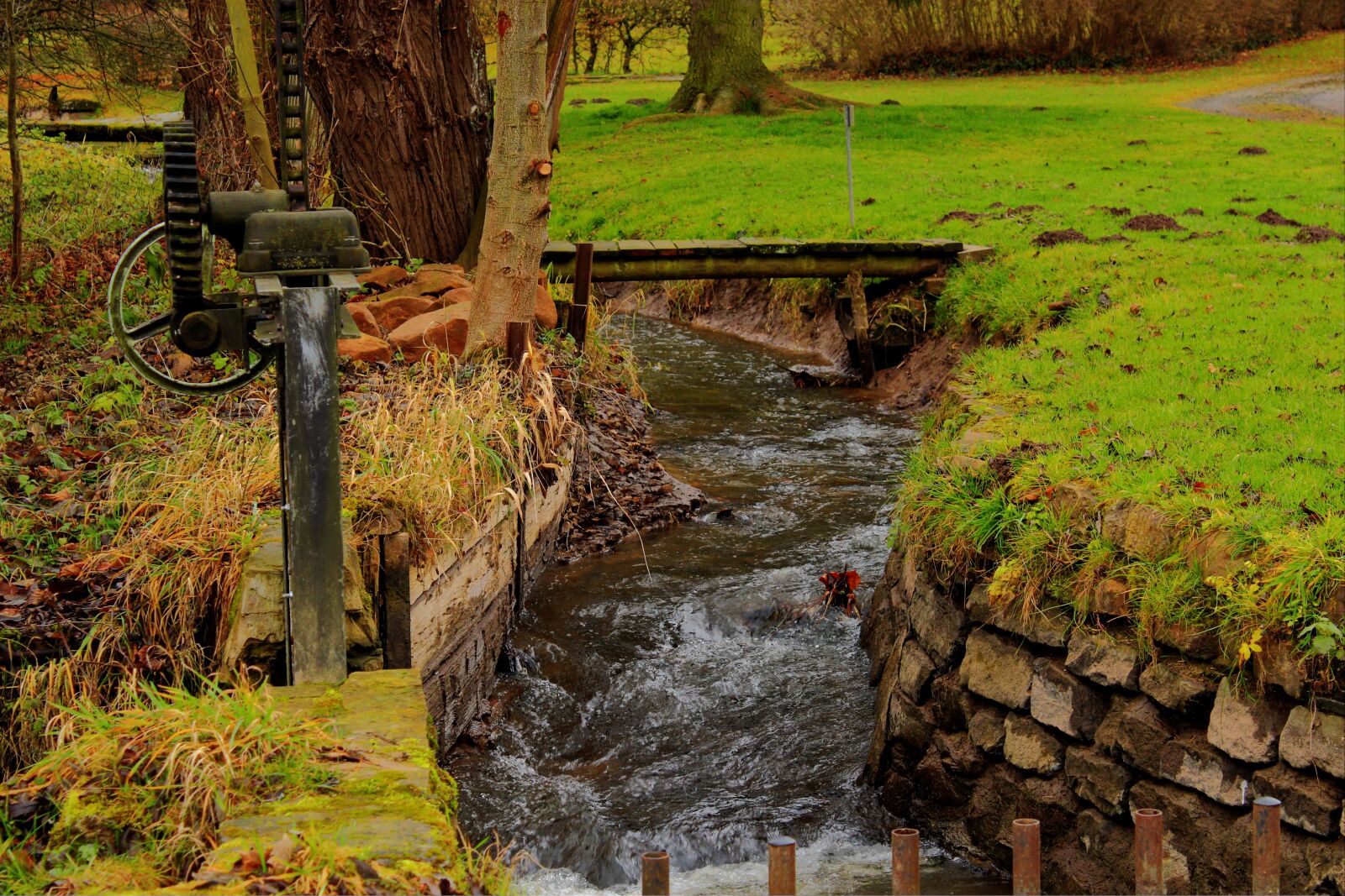 Canon EOS 550D (EOS Rebel T2i / EOS Kiss X4) sample photo. Dig, inlet, mill photography