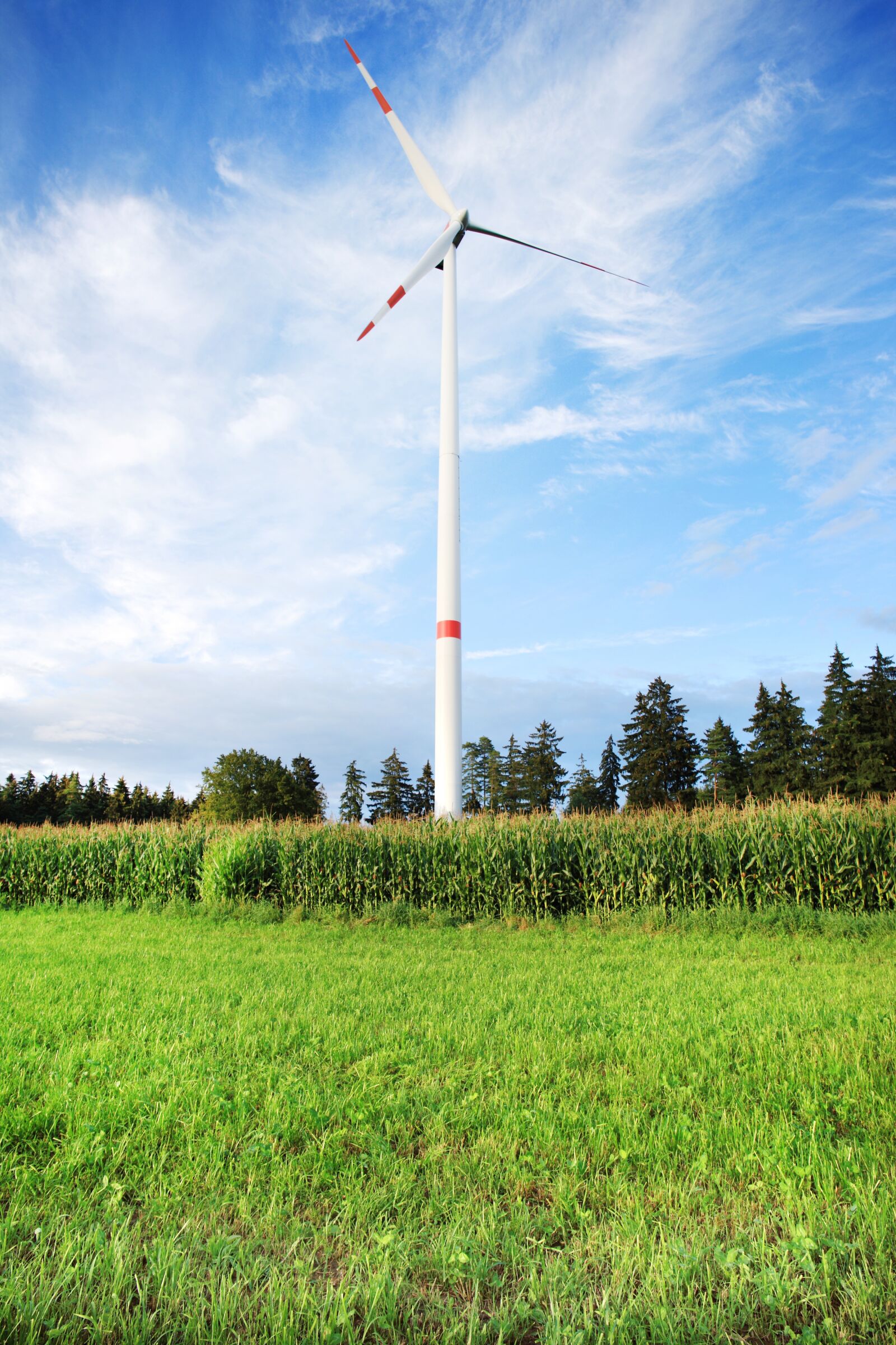 Canon EOS-1Ds Mark III sample photo. Wind power, wind energy photography