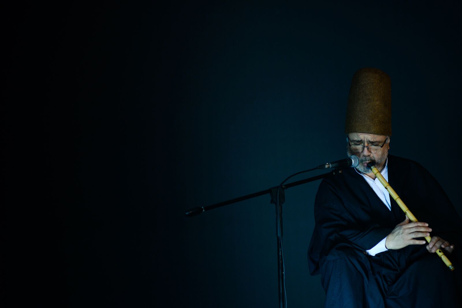 Nikon D800 sample photo. Dance, sufi, culture photography