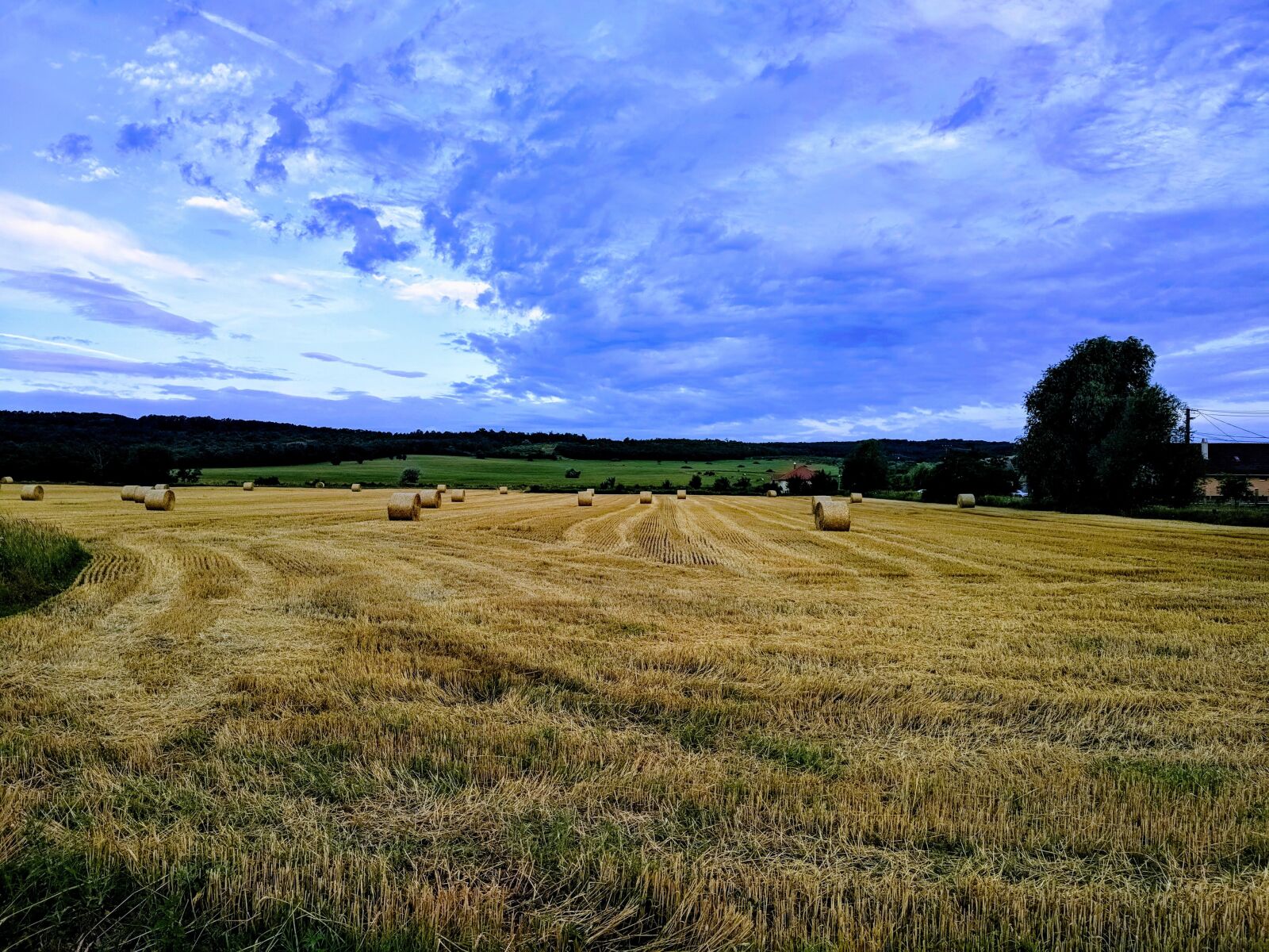 Xiaomi Mi A1 sample photo. Harvest, summer, agriculture photography