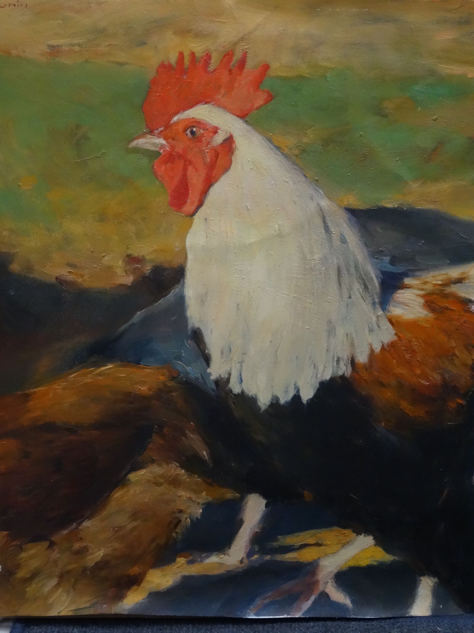 Sony DSC-HX50 sample photo. Painting, chicken, animals photography
