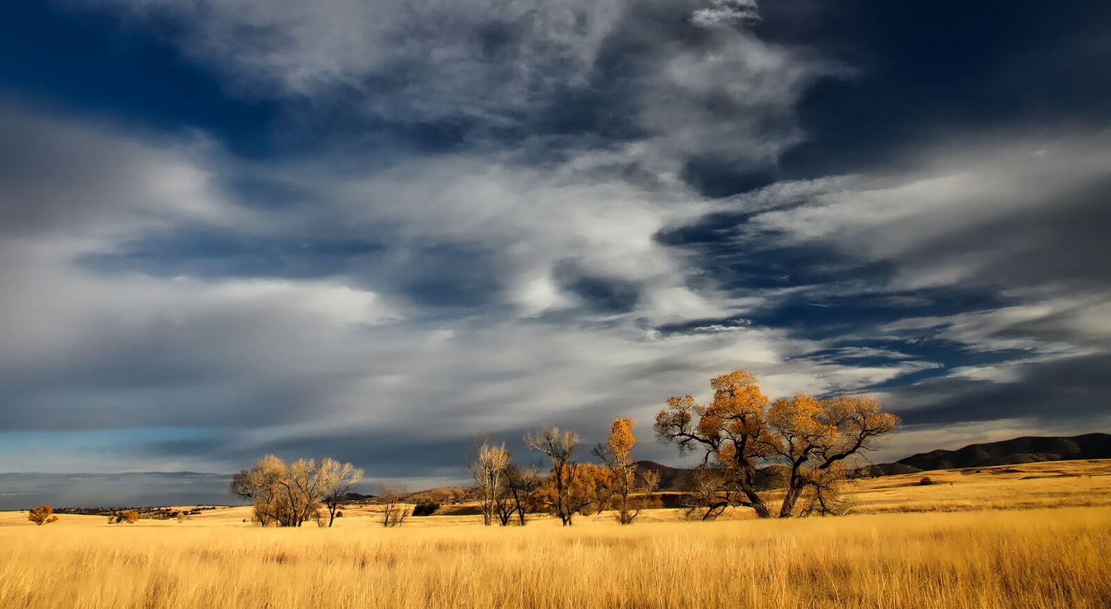 Canon EOS 500D (EOS Rebel T1i / EOS Kiss X3) sample photo. Patagonia, landscape, valley photography