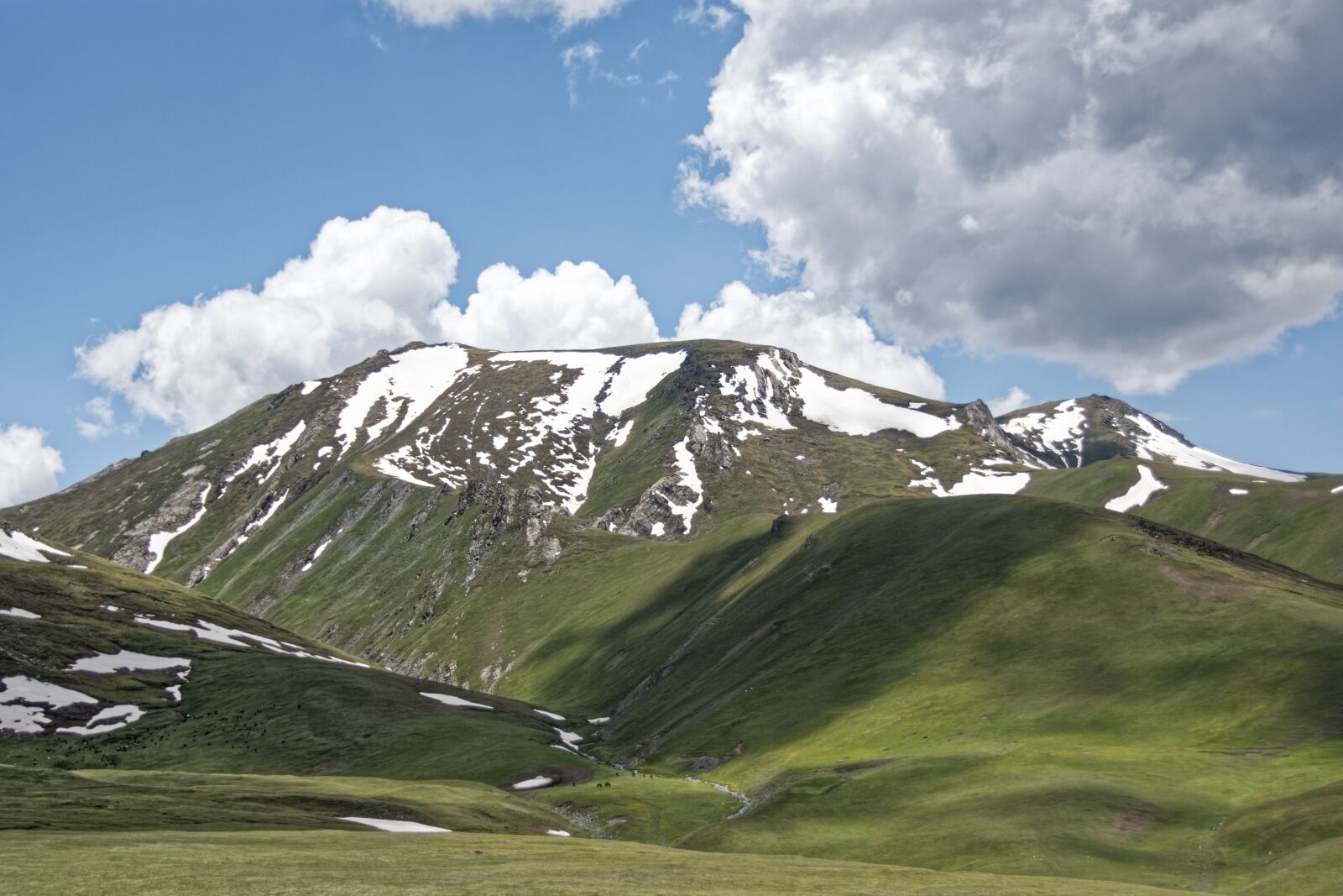 Nikon D500 sample photo. Kyrgyzstan, alai-mountains, alai valley photography