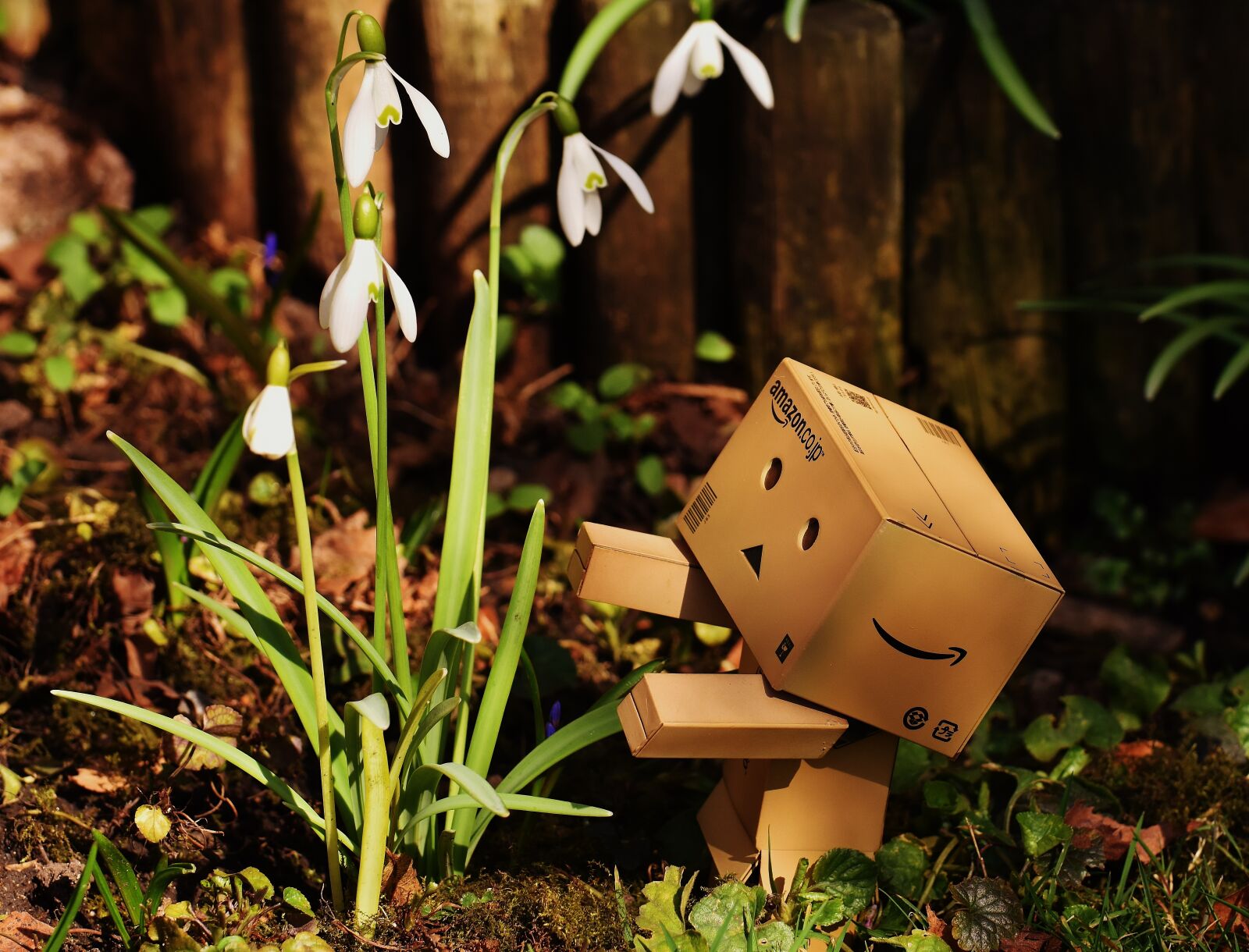 Nikon D7200 sample photo. Harbinger of spring, snowdrop photography