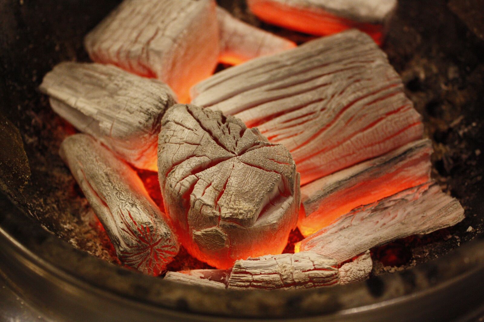 Canon EOS 450D (EOS Rebel XSi / EOS Kiss X2) sample photo. Charcoal, grilled, fire photography