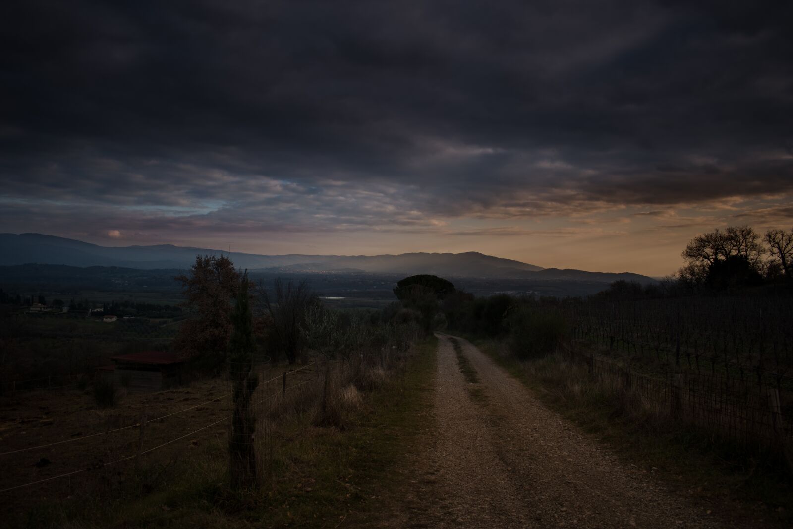 Nikon D5600 sample photo. Tuscany, countryside, panorama photography
