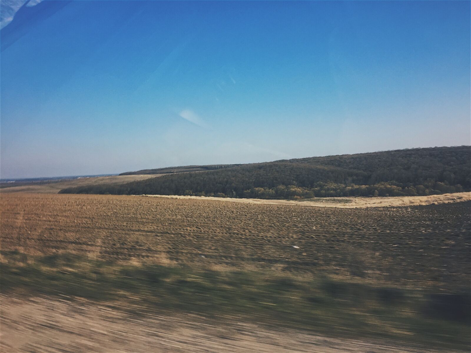 iPhone 6 back camera 4.15mm f/2.2 sample photo. Forest, speed photography
