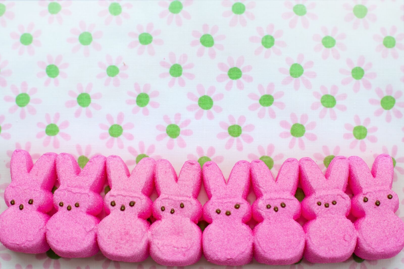 Canon EOS 5D Mark III + Canon EF 50mm F1.4 USM sample photo. Peeps, pink, easter photography