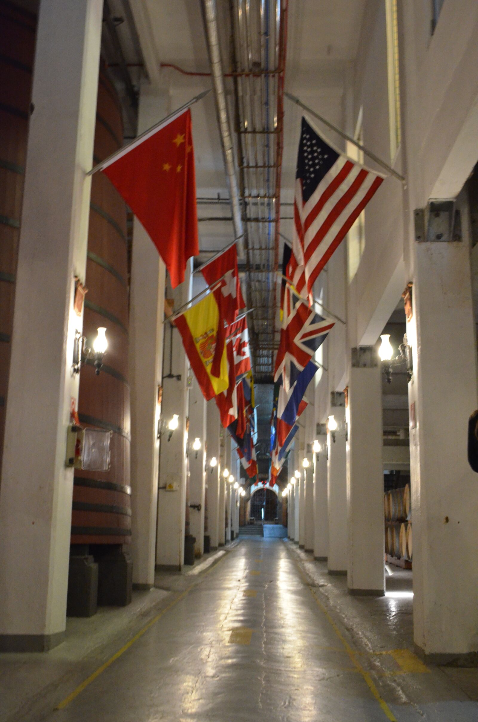 Nikon D5100 sample photo. Path, flag, hall photography