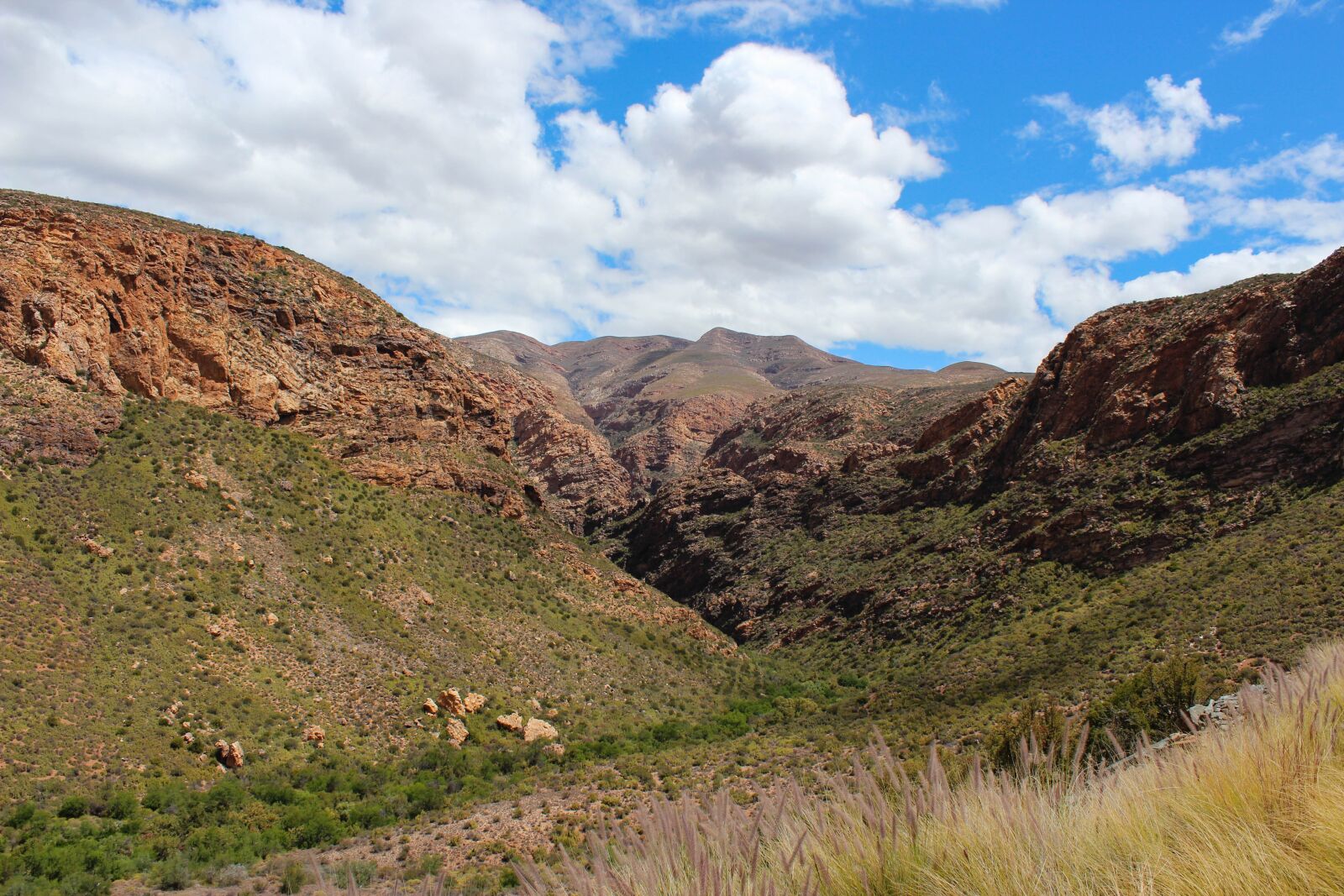 Canon EOS 600D (Rebel EOS T3i / EOS Kiss X5) sample photo. South africa, nature, mountains photography