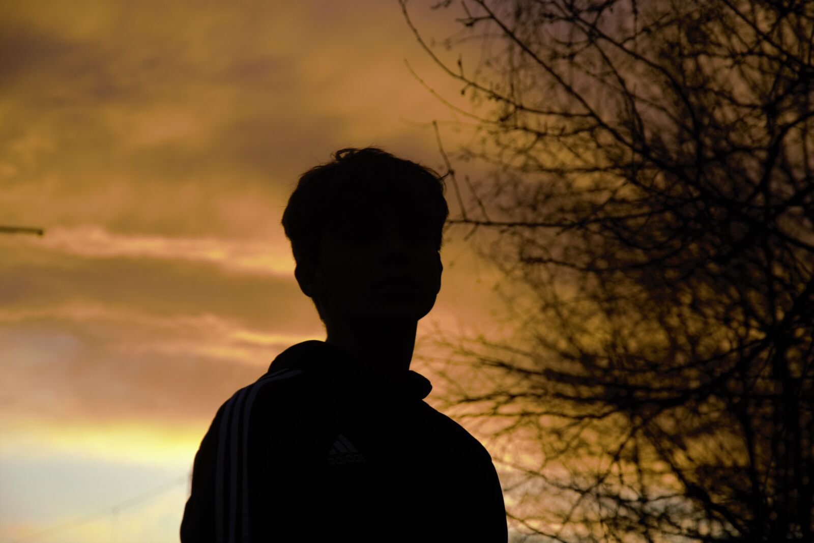 Nikon D3100 sample photo. Sunset, evening, sky photography