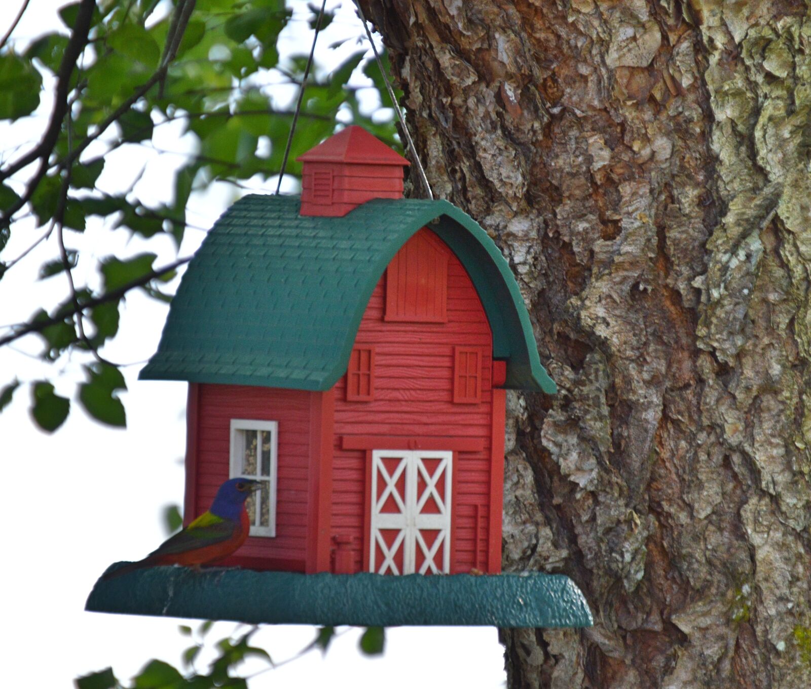 Nikon D3200 sample photo. Painted, bunting, feeder photography